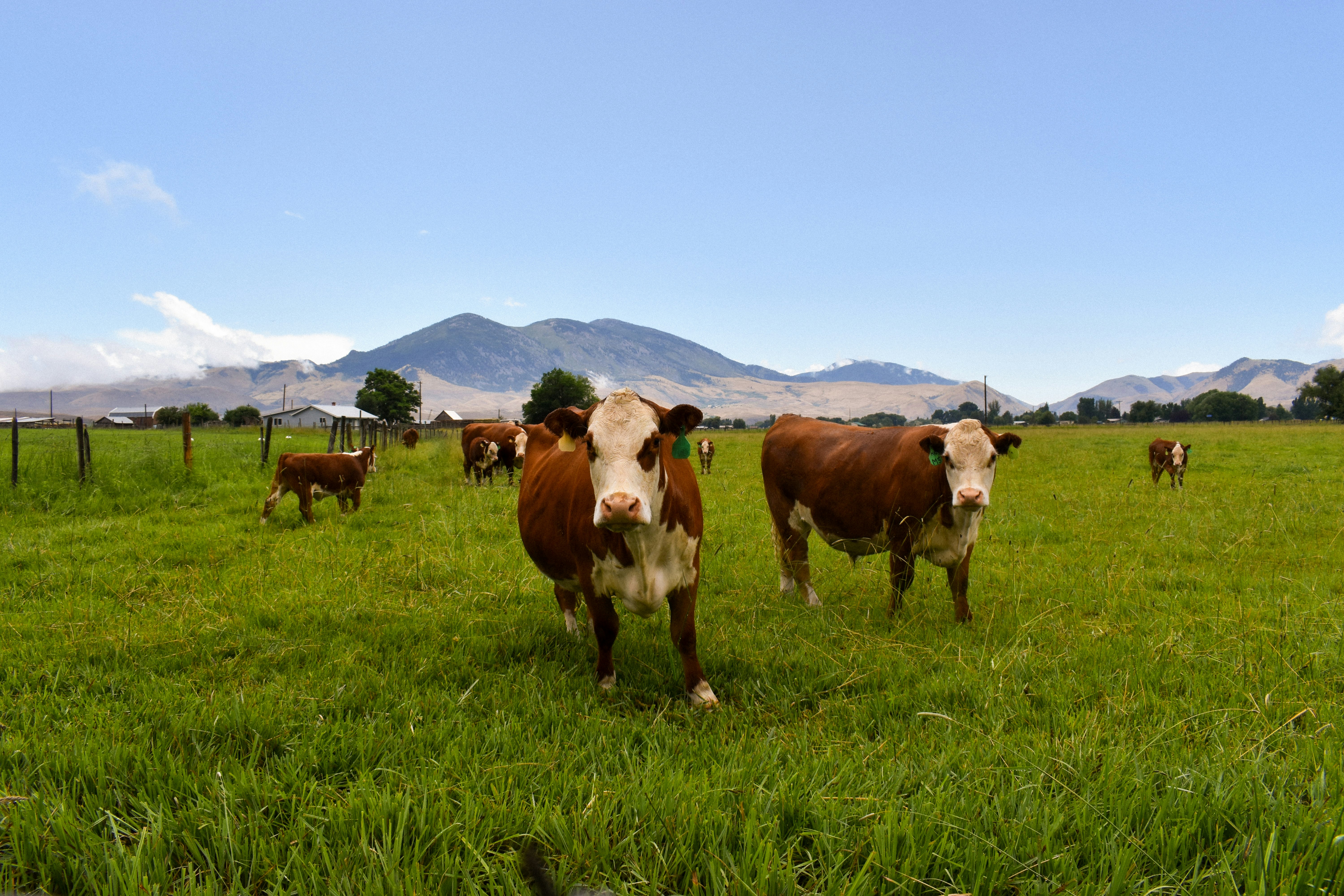 Photo by ssdesignandphotography_