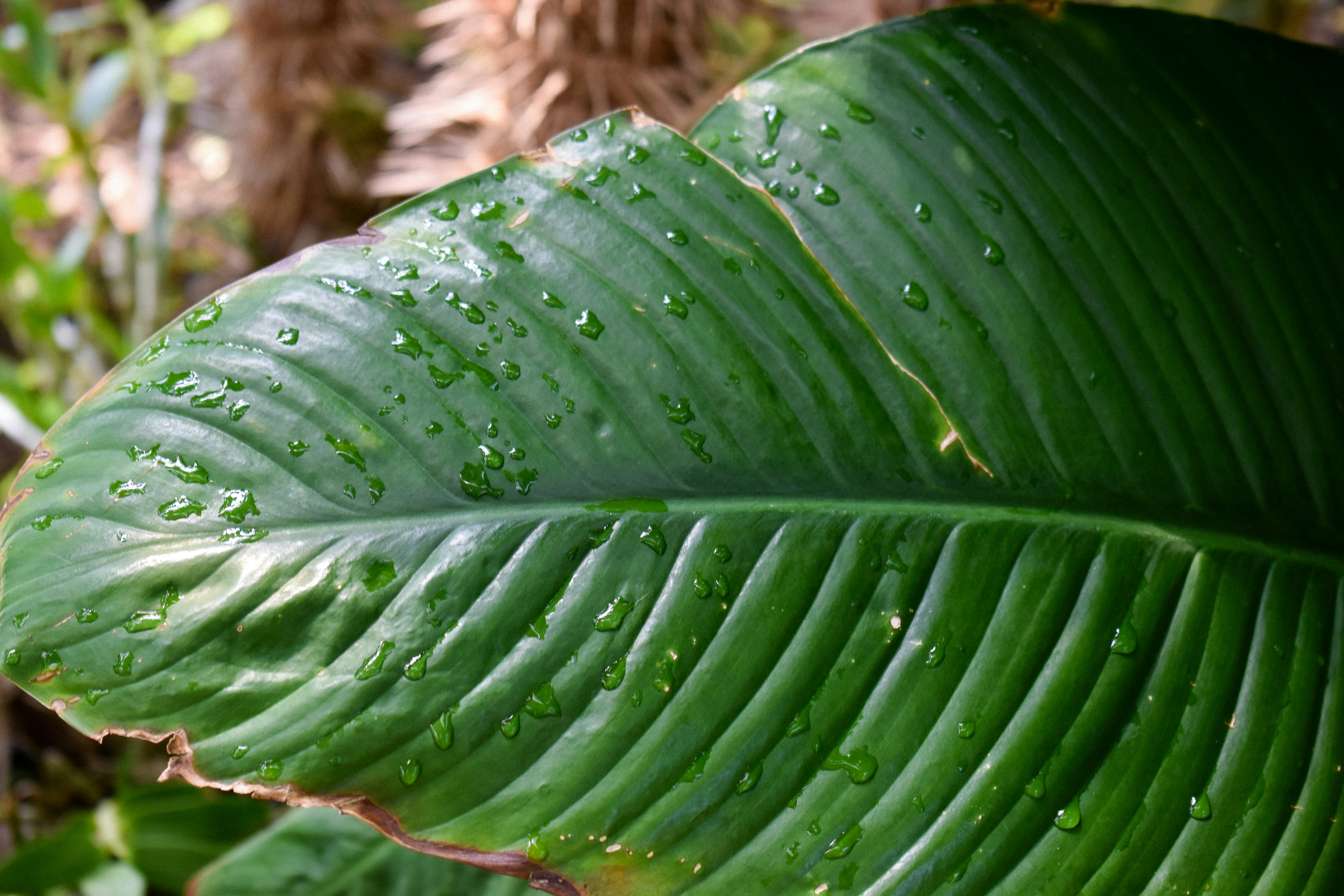 Photo by ssdesignandphotography_