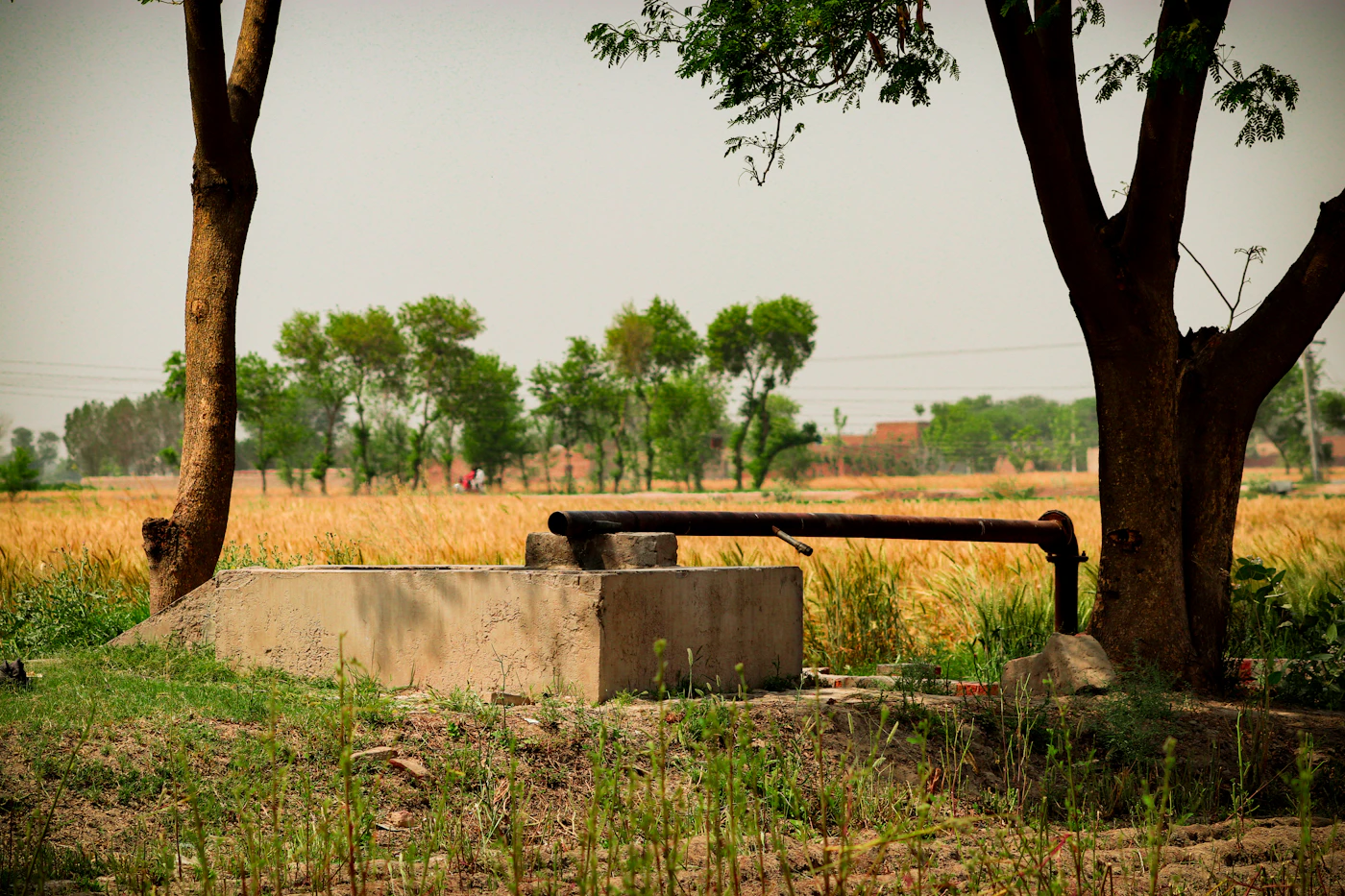Water pump in a rural field representing private well systems