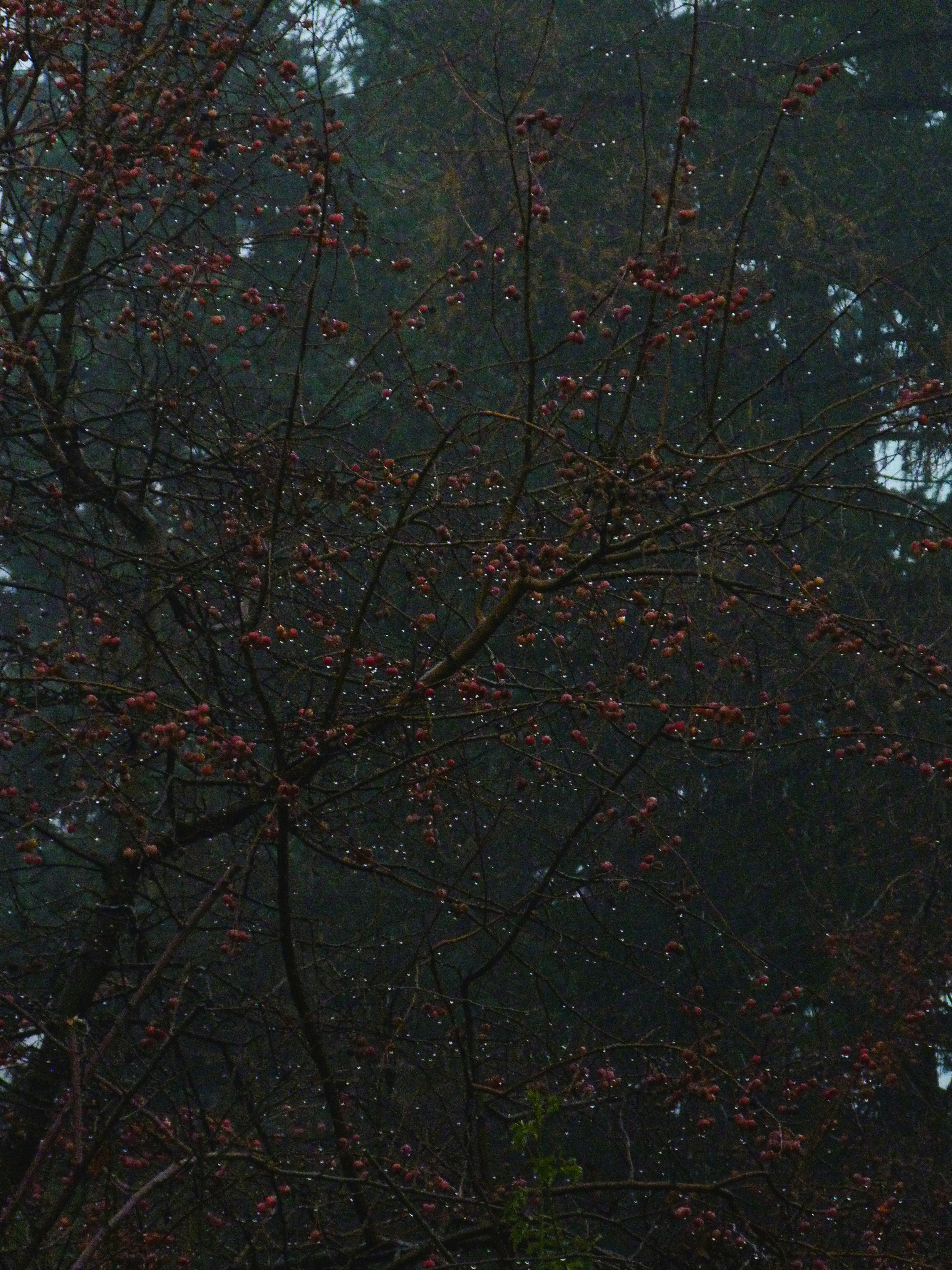 Photo by suleymanovae