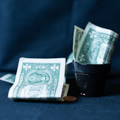Us dollar bills in a small pot