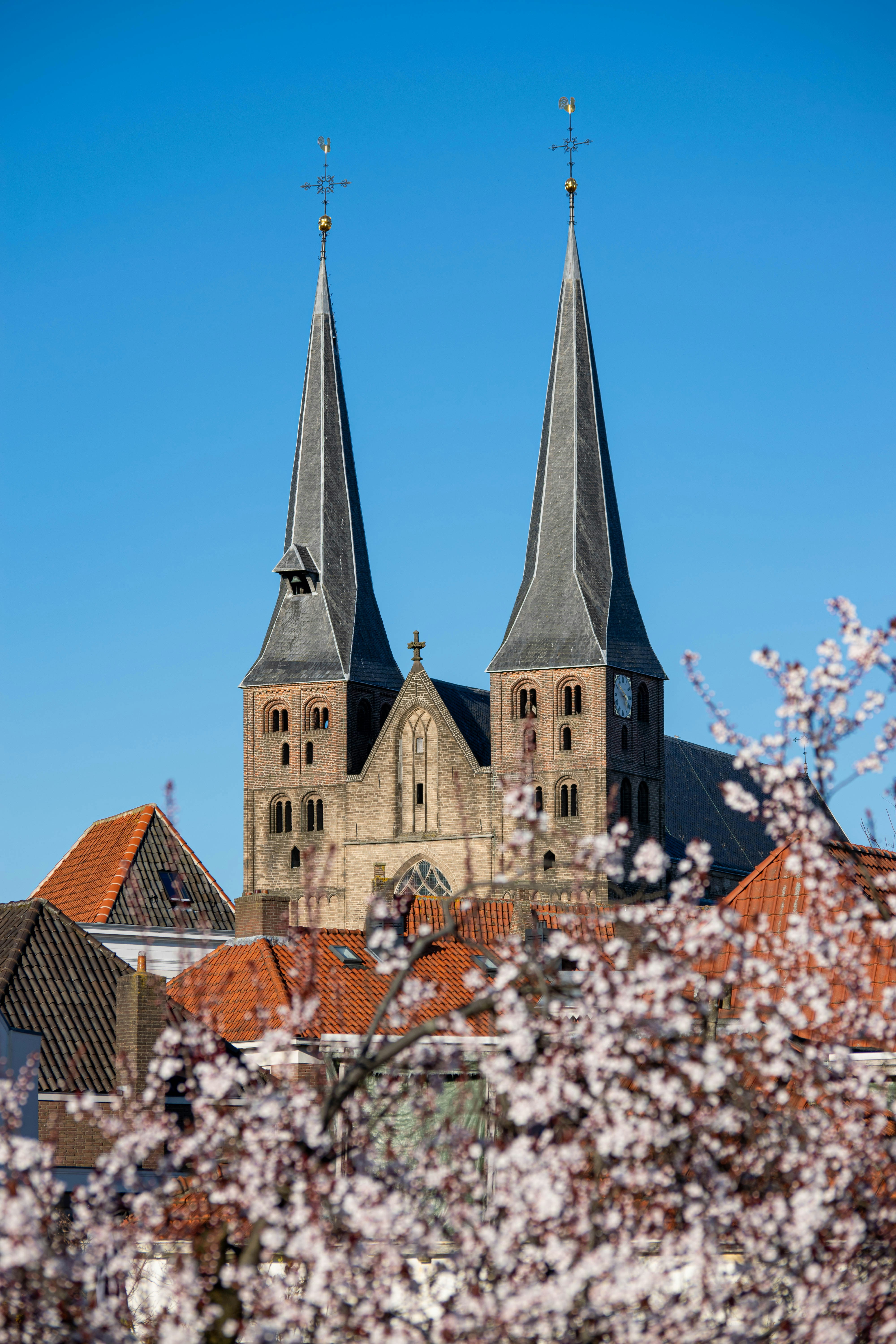 Photo by tea_in_deventer