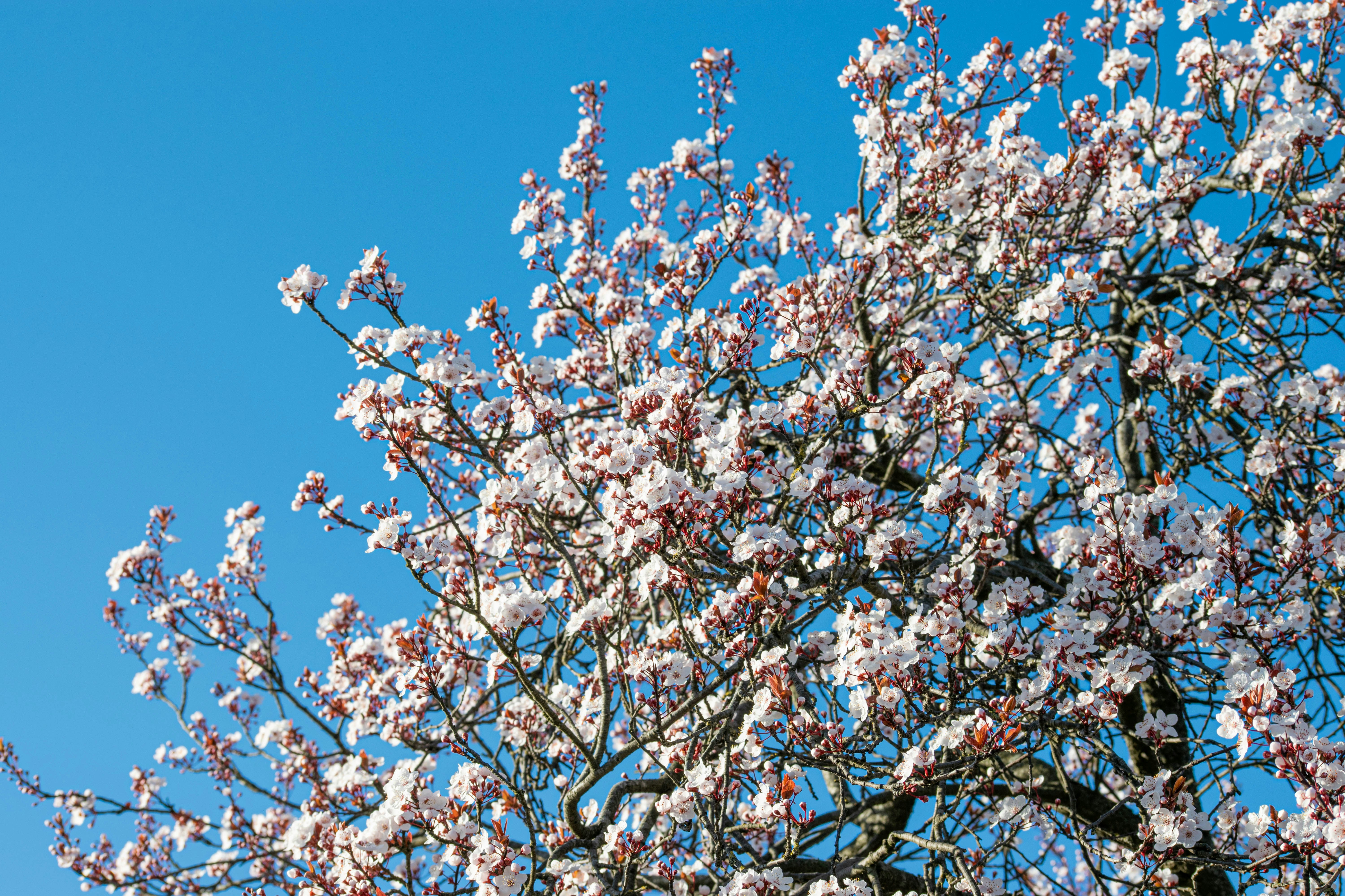 Photo by tea_in_deventer