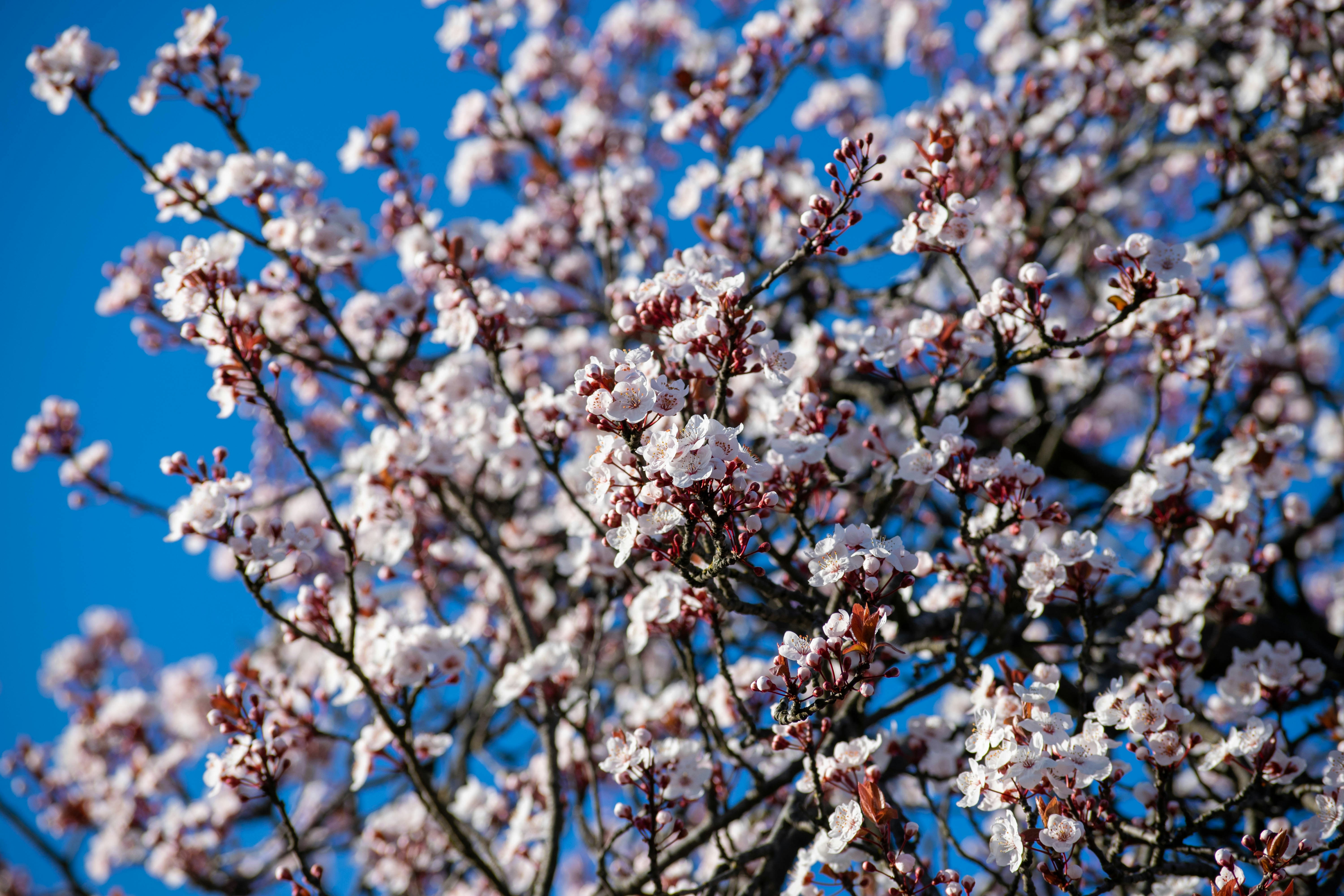 Photo by tea_in_deventer