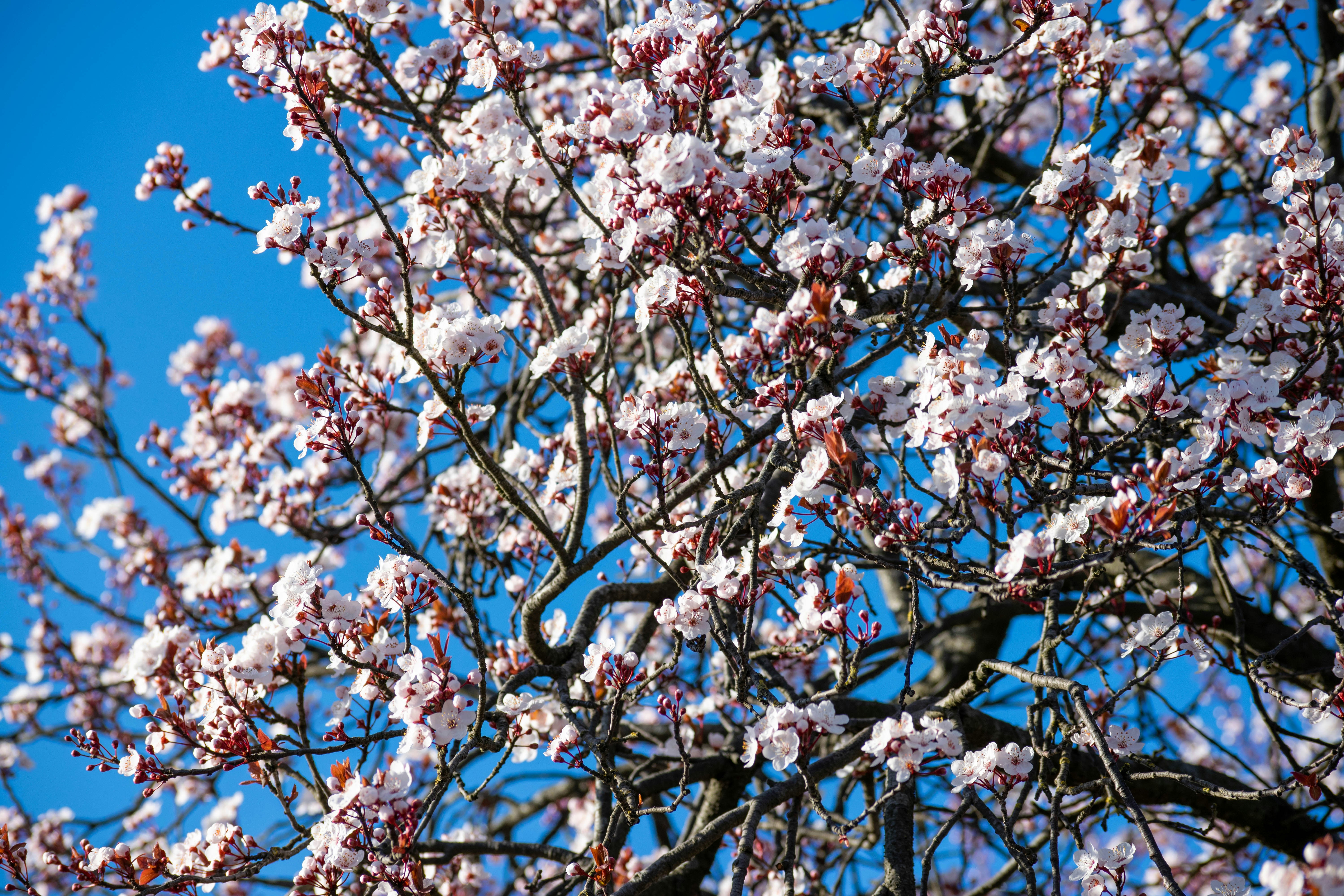 Photo by tea_in_deventer