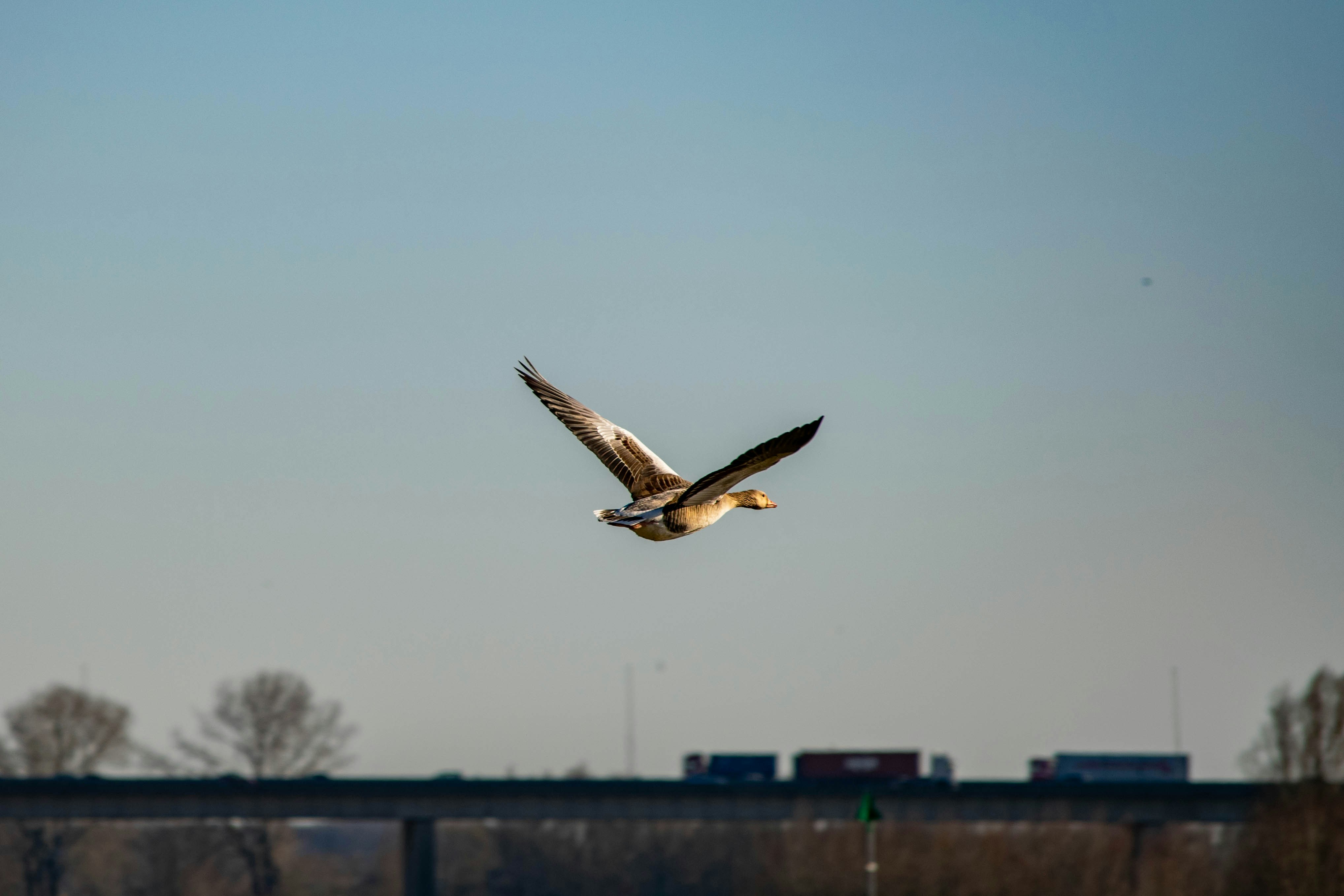 Photo by tea_in_deventer