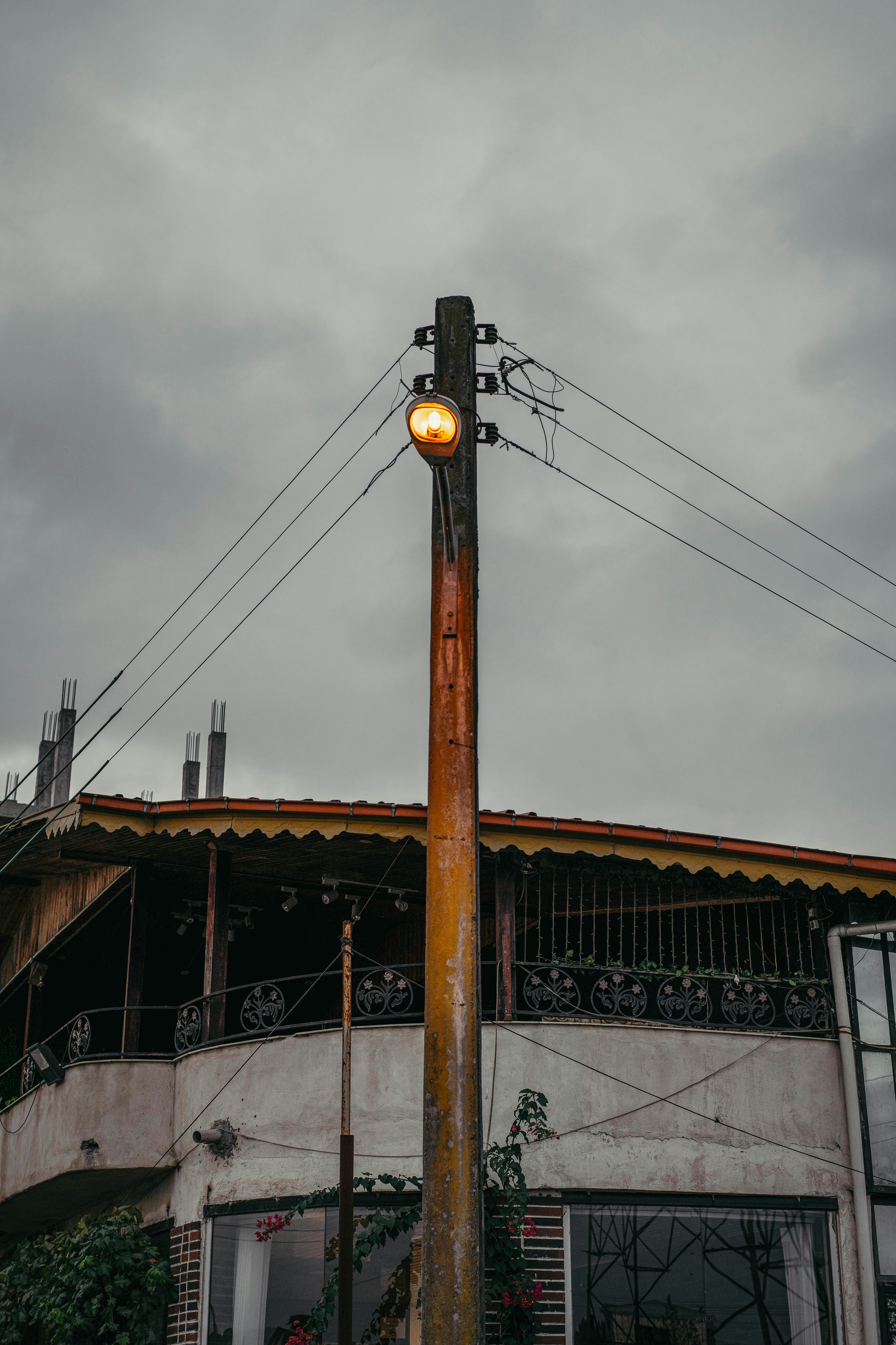 Photo by soheil_jalili