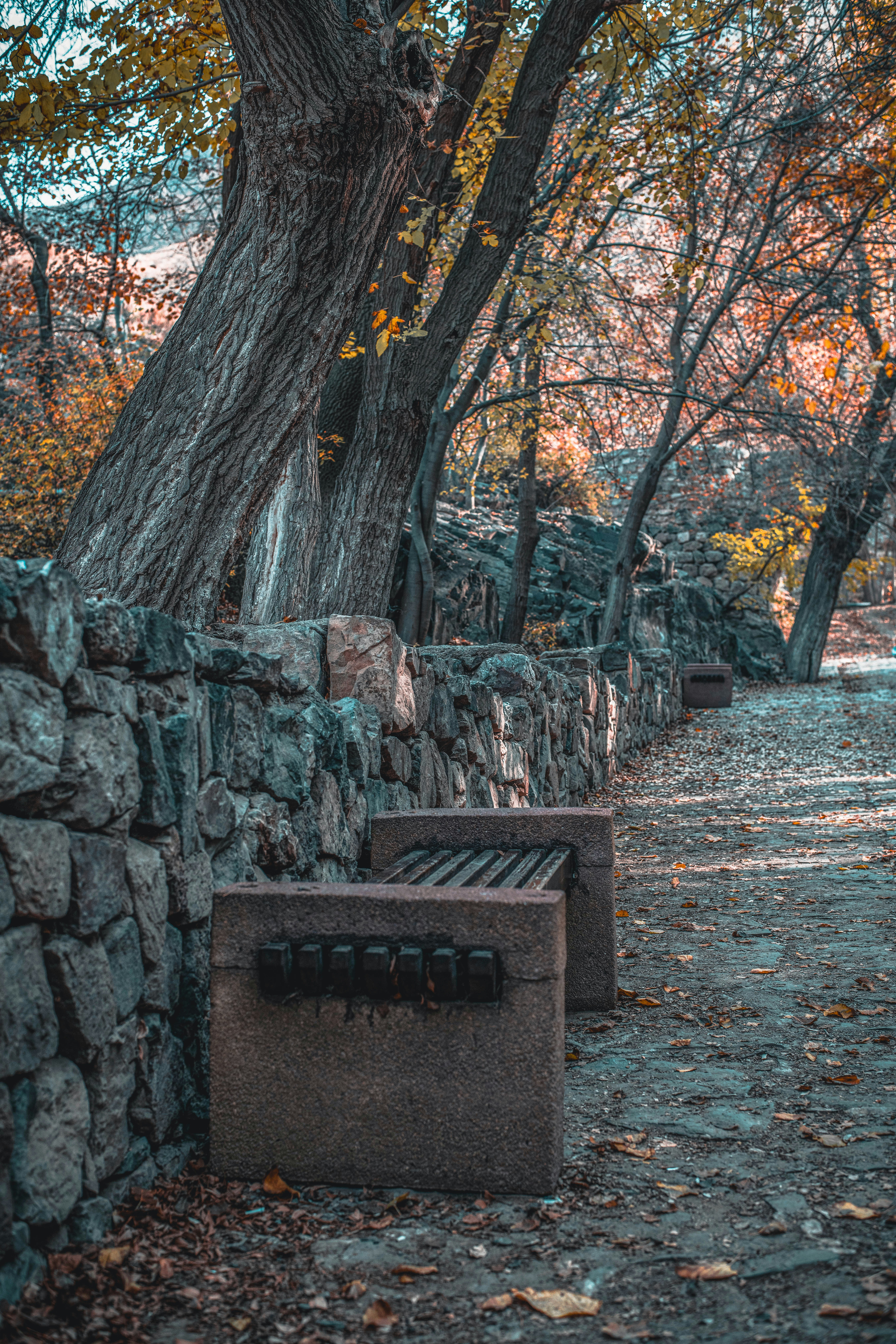 Photo by soheil_jalili