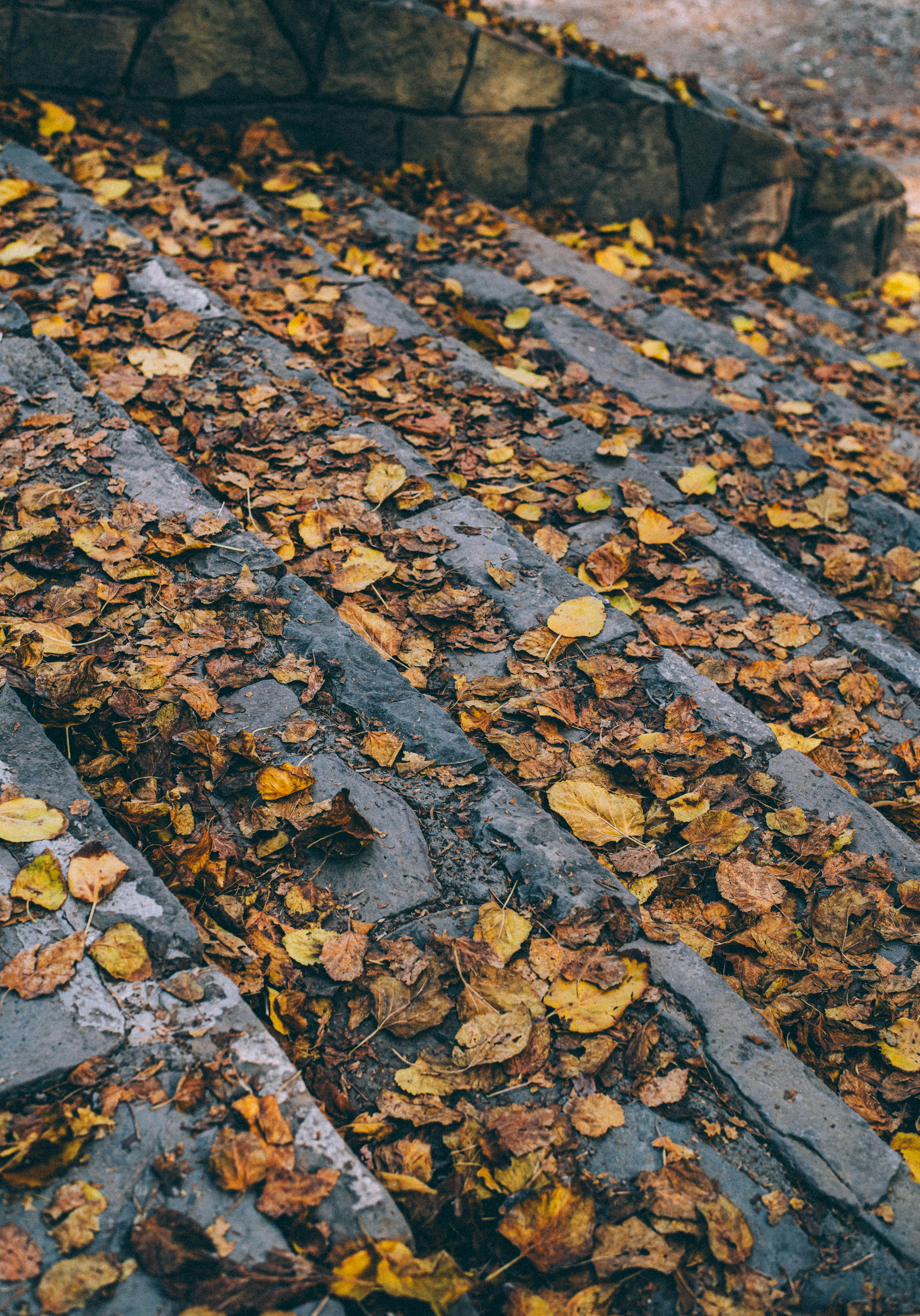 Photo by soheil_jalili