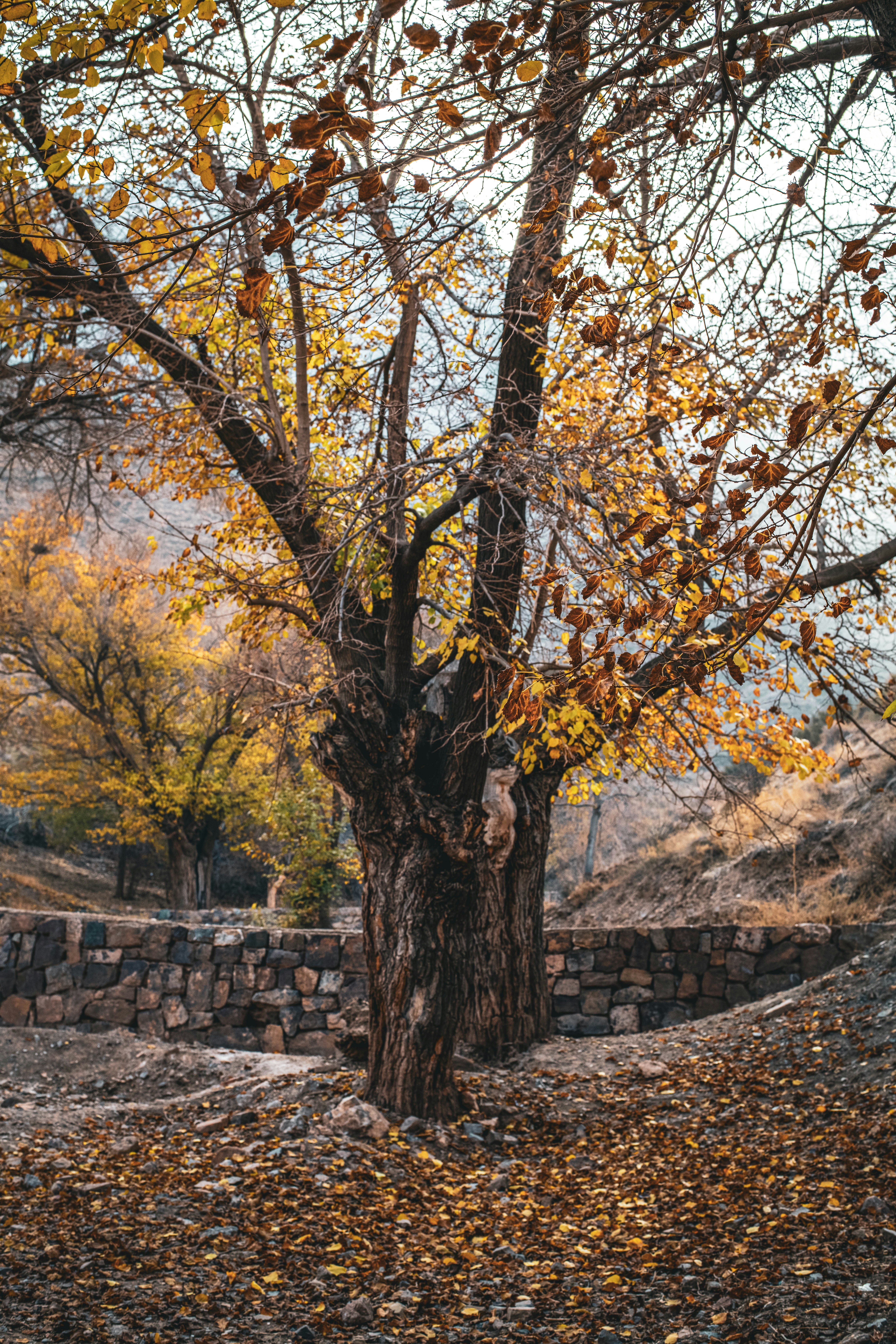 Photo by soheil_jalili