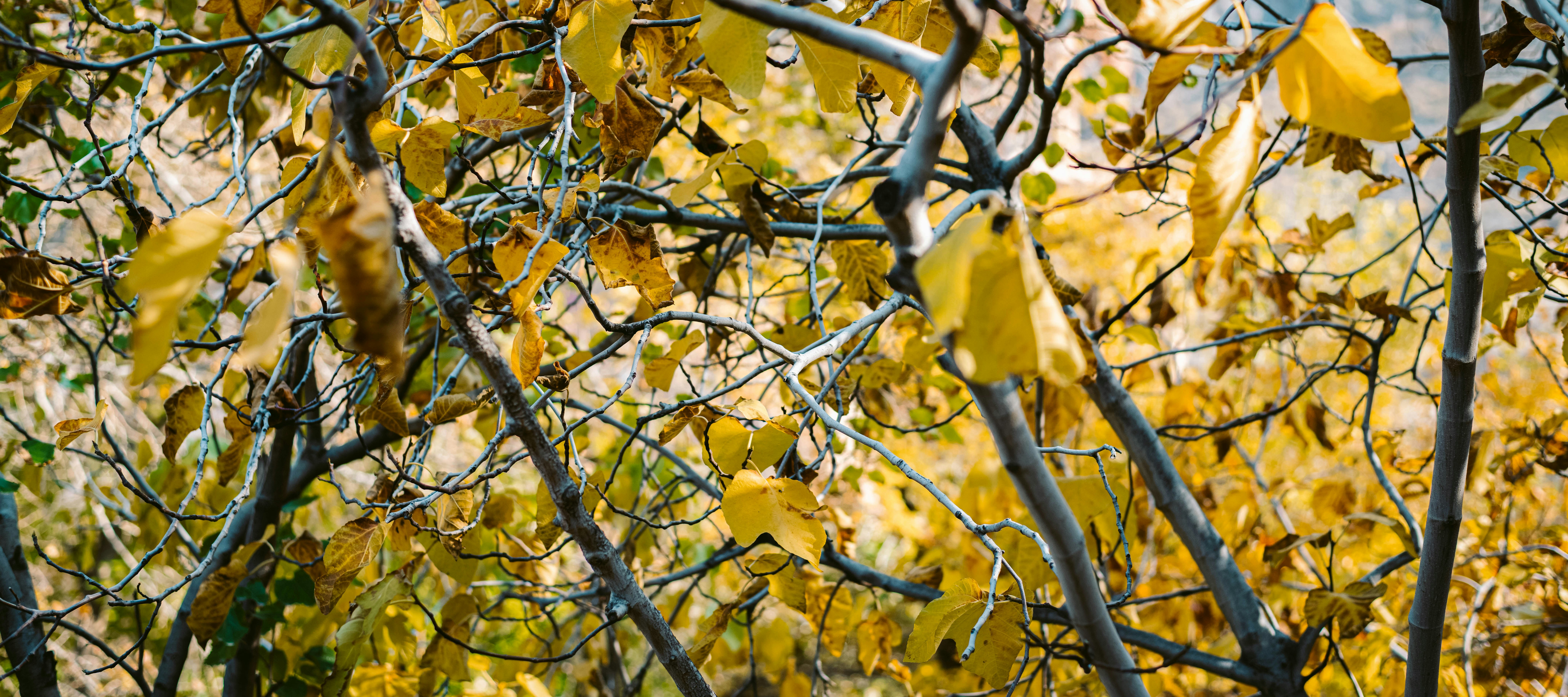 Photo by soheil_jalili