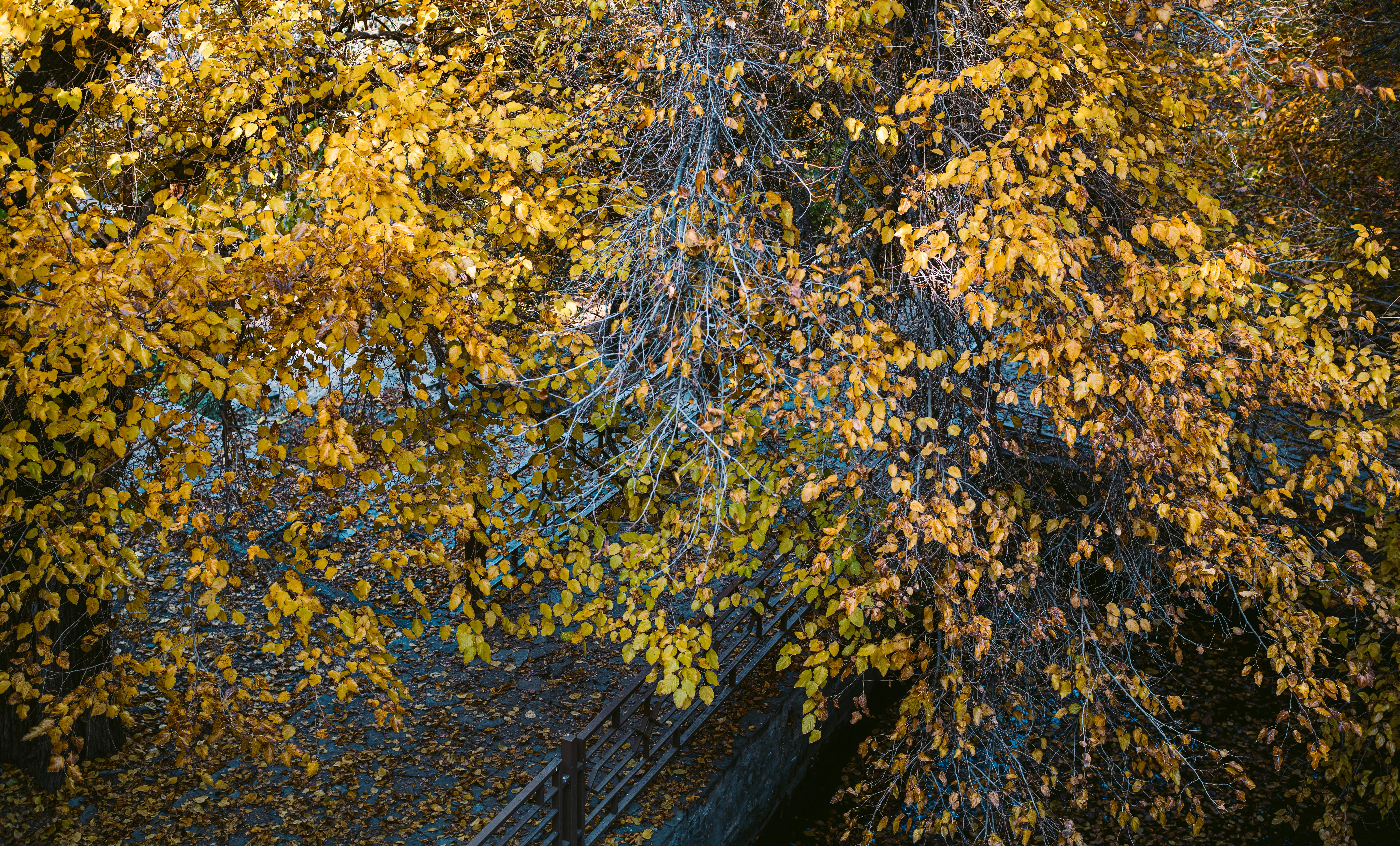 Photo by soheil_jalili