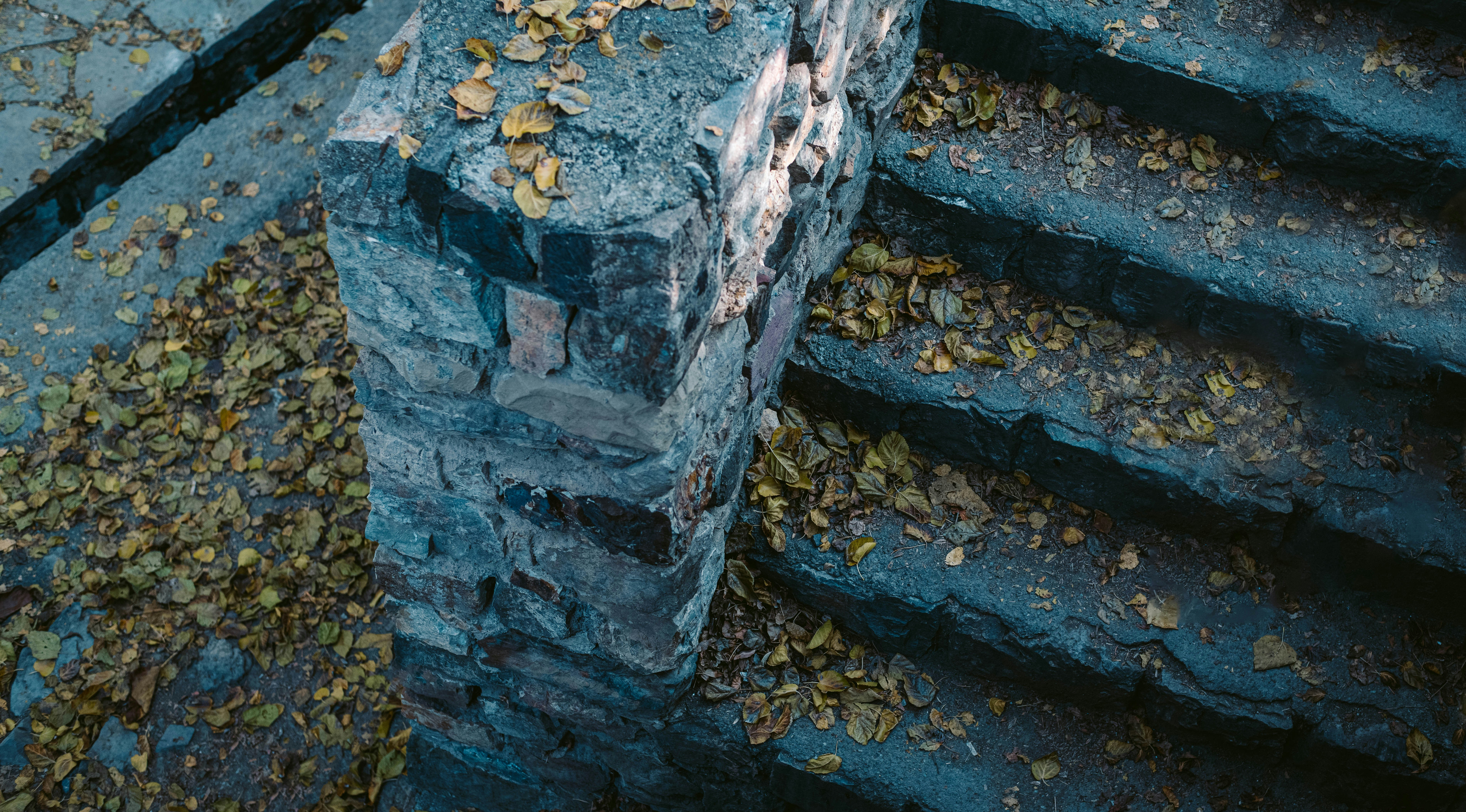 Stone stairs covered in fallen autumn leaves