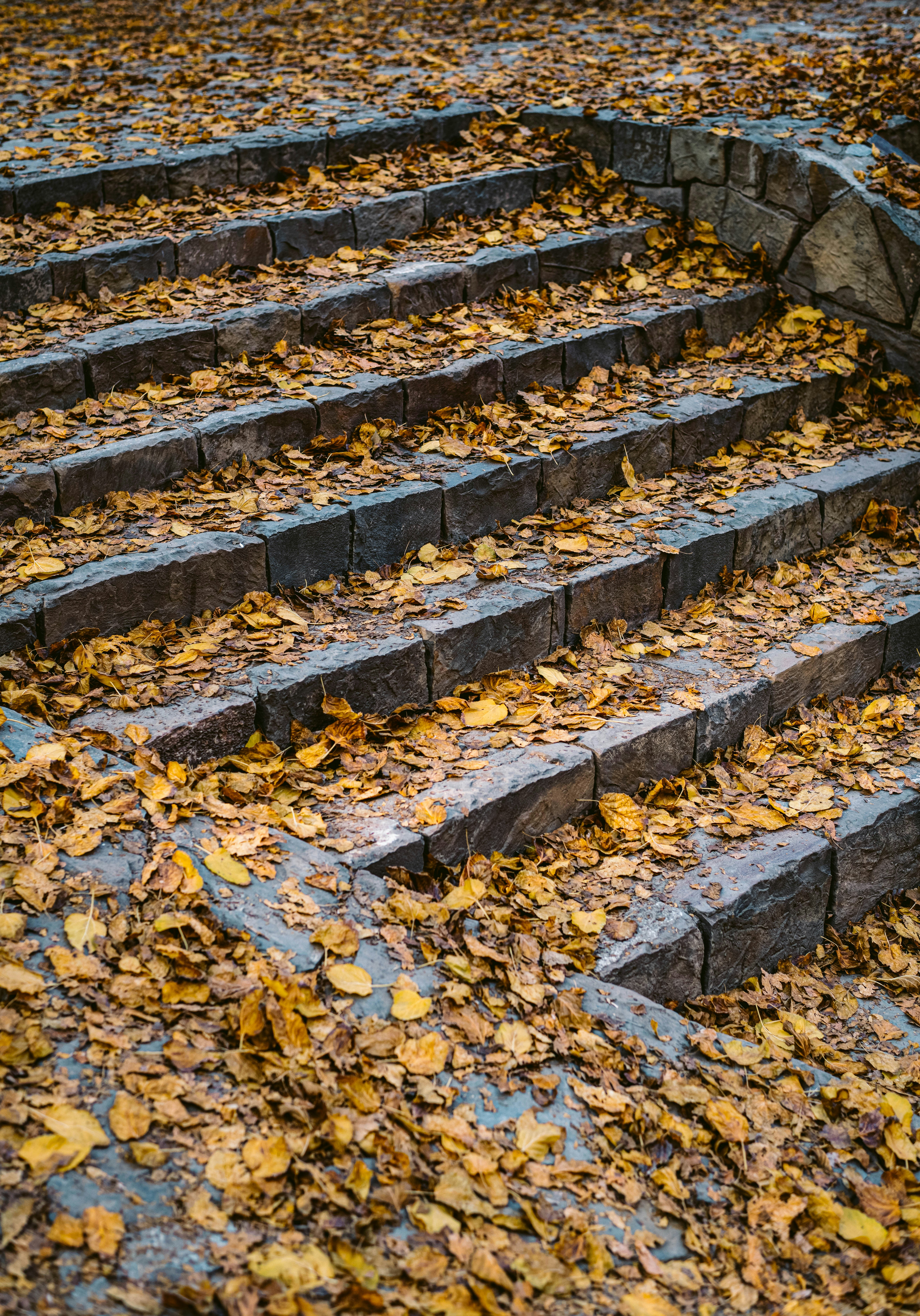 Photo by soheil_jalili