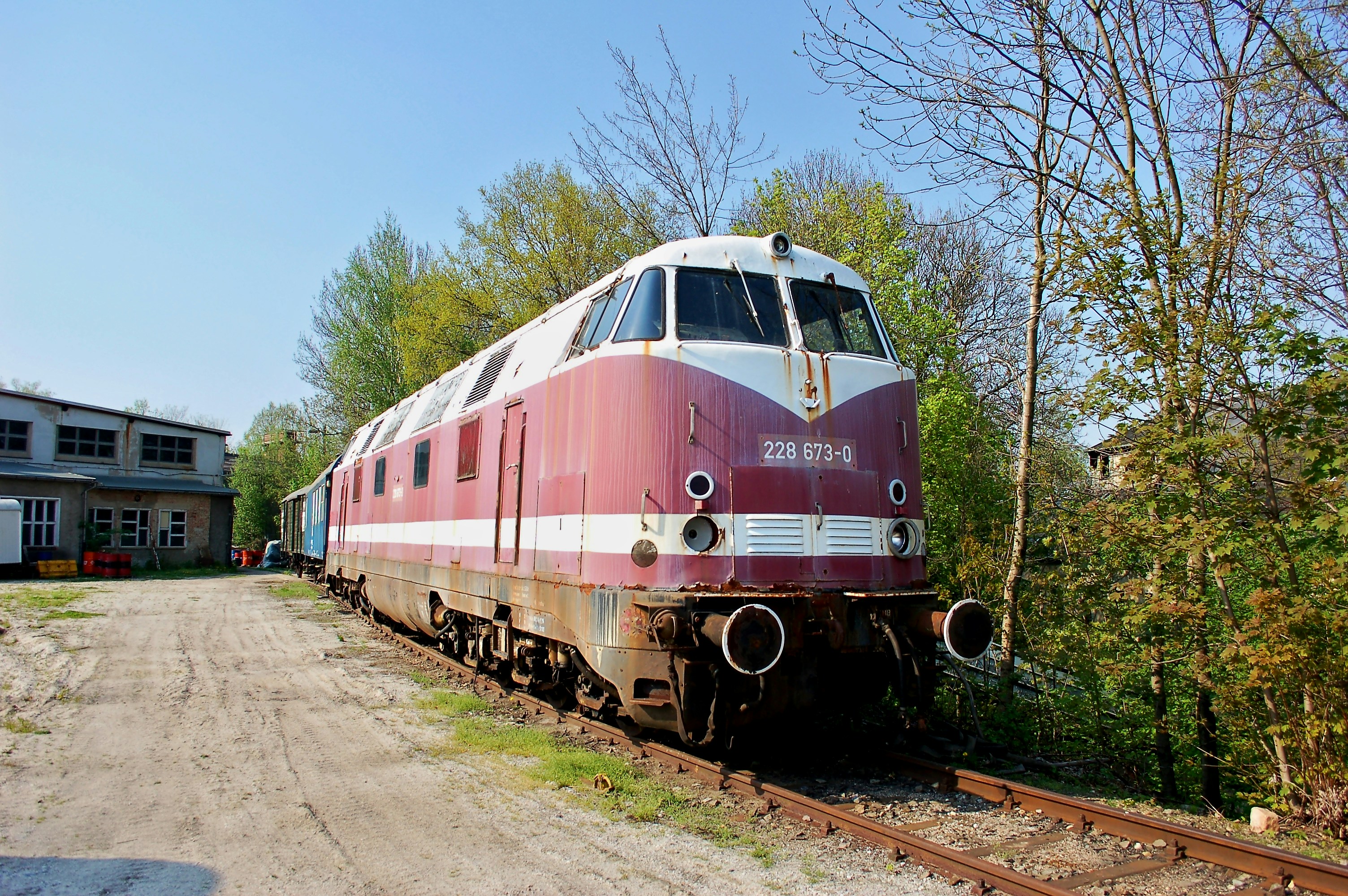 Photo by nikodemus777