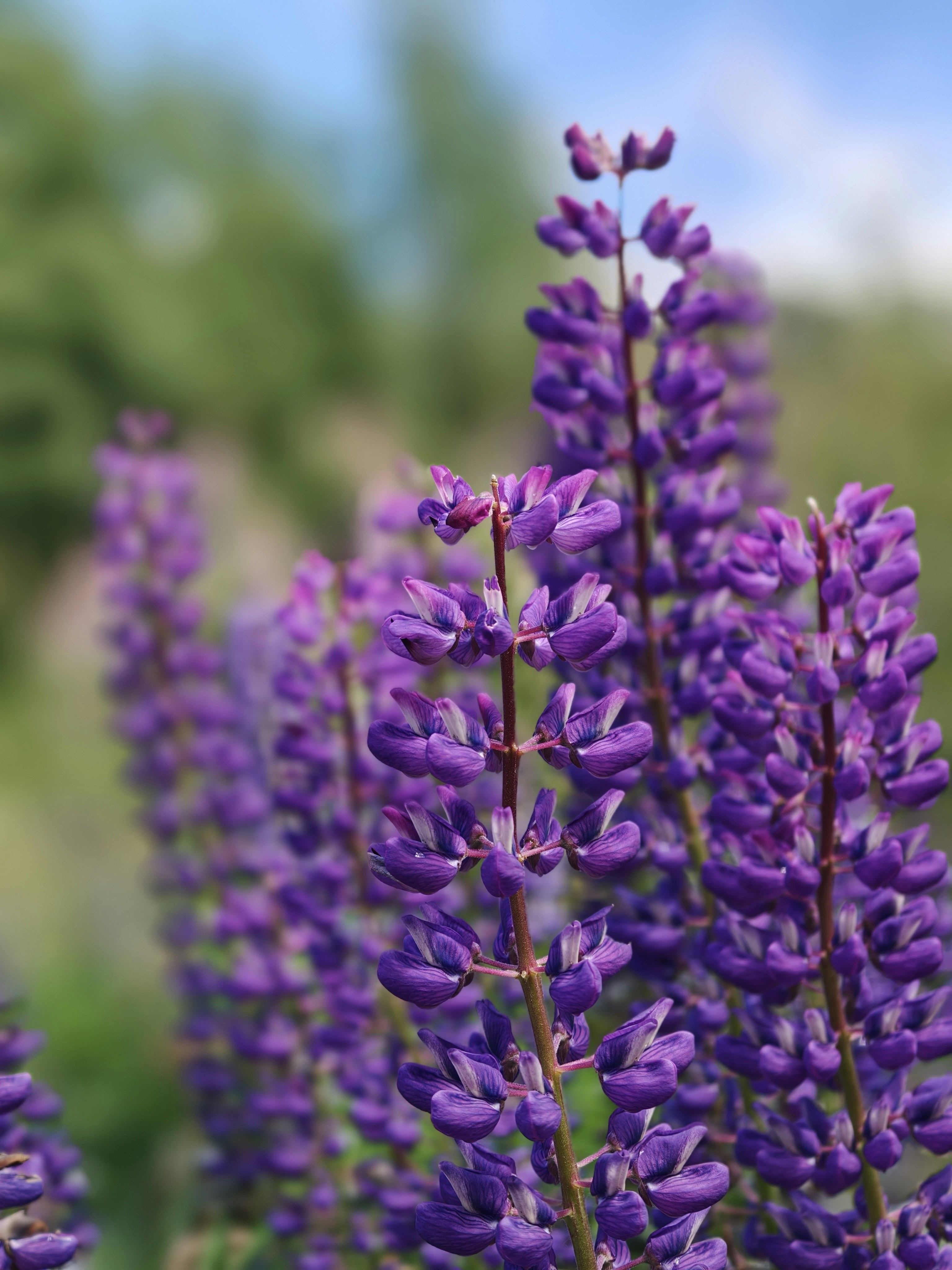 Photo by bijoyabraham