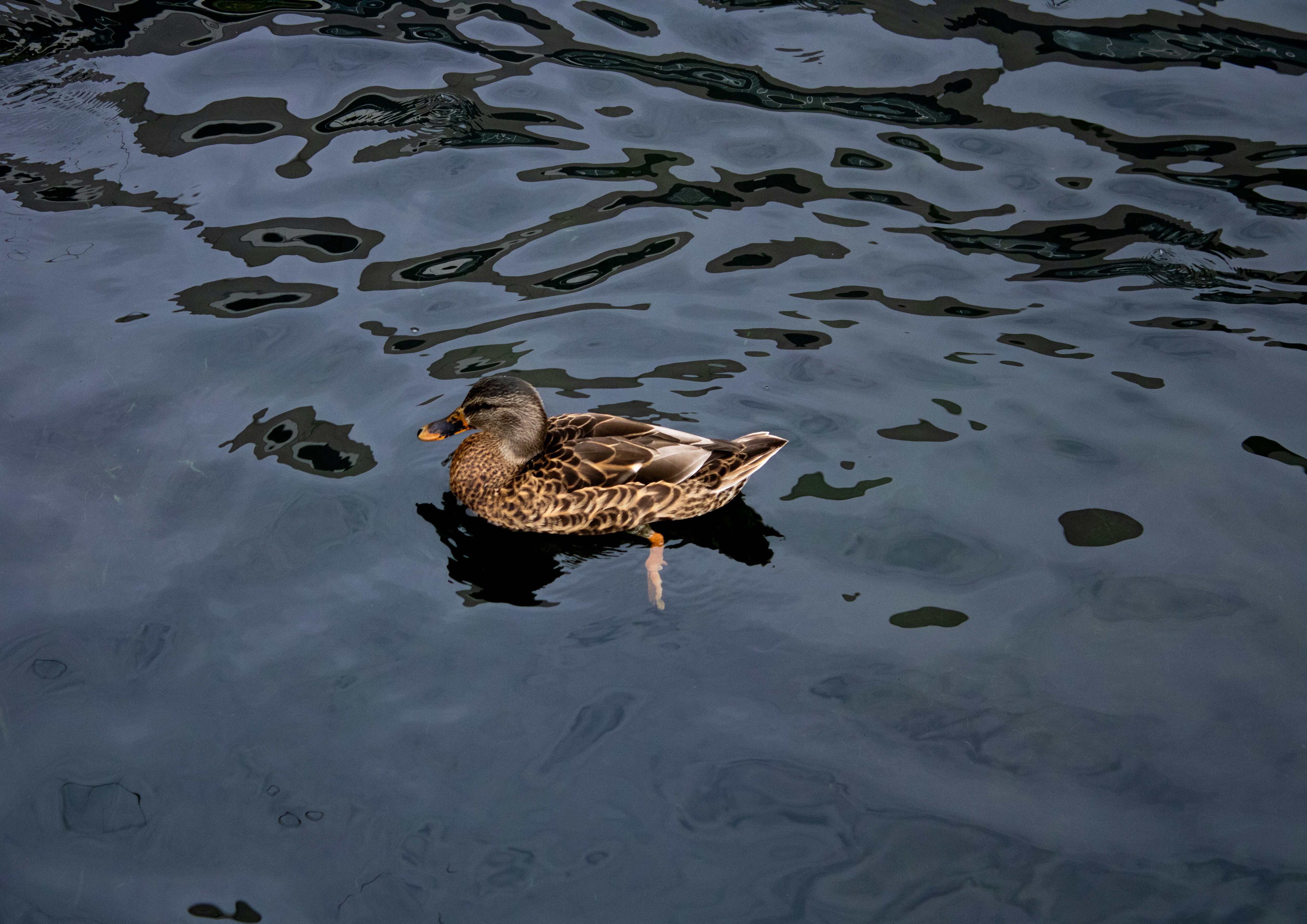 Photo by morgan_peterson1122