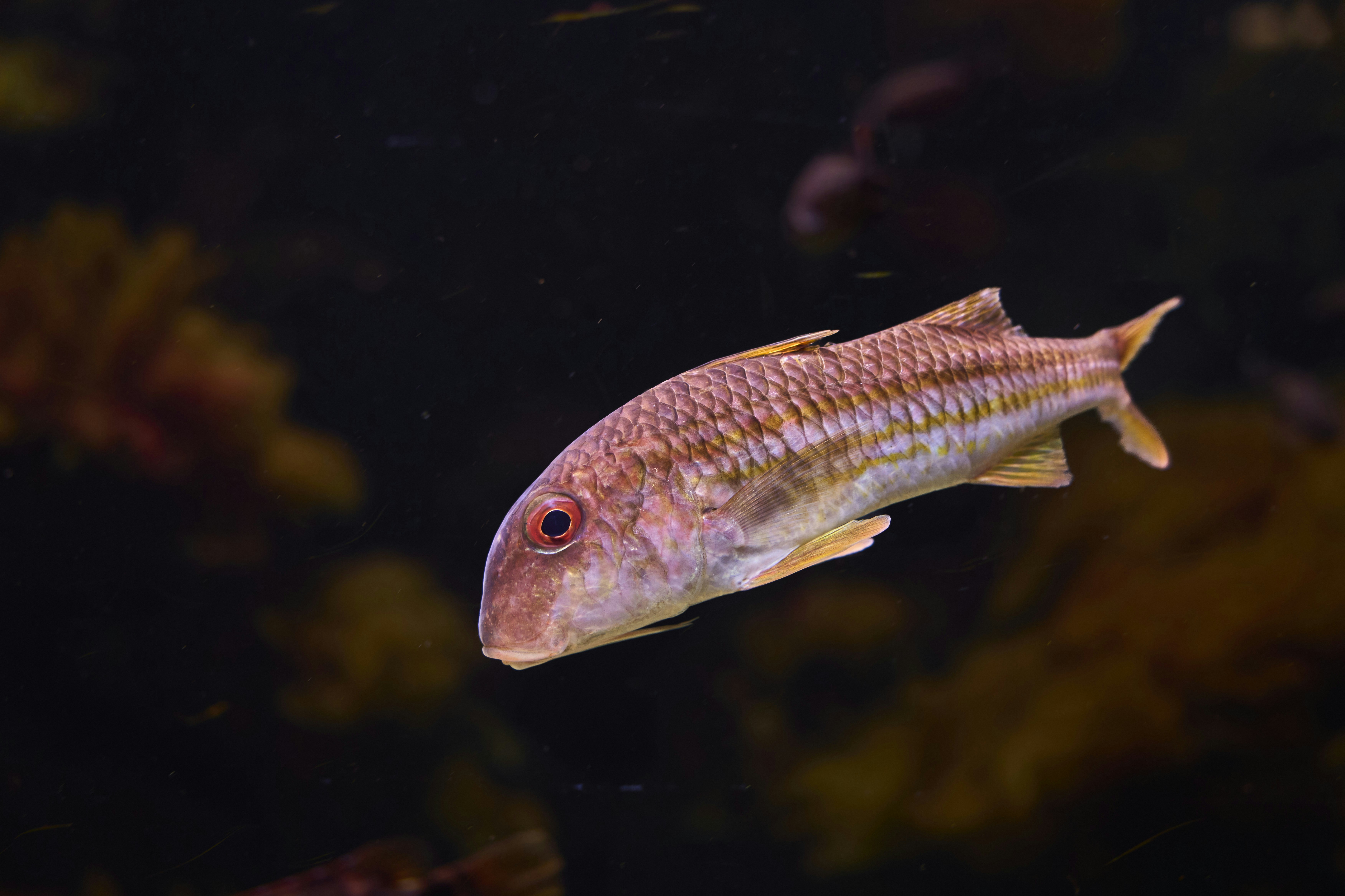 Photo by wolfgang_hasselmann