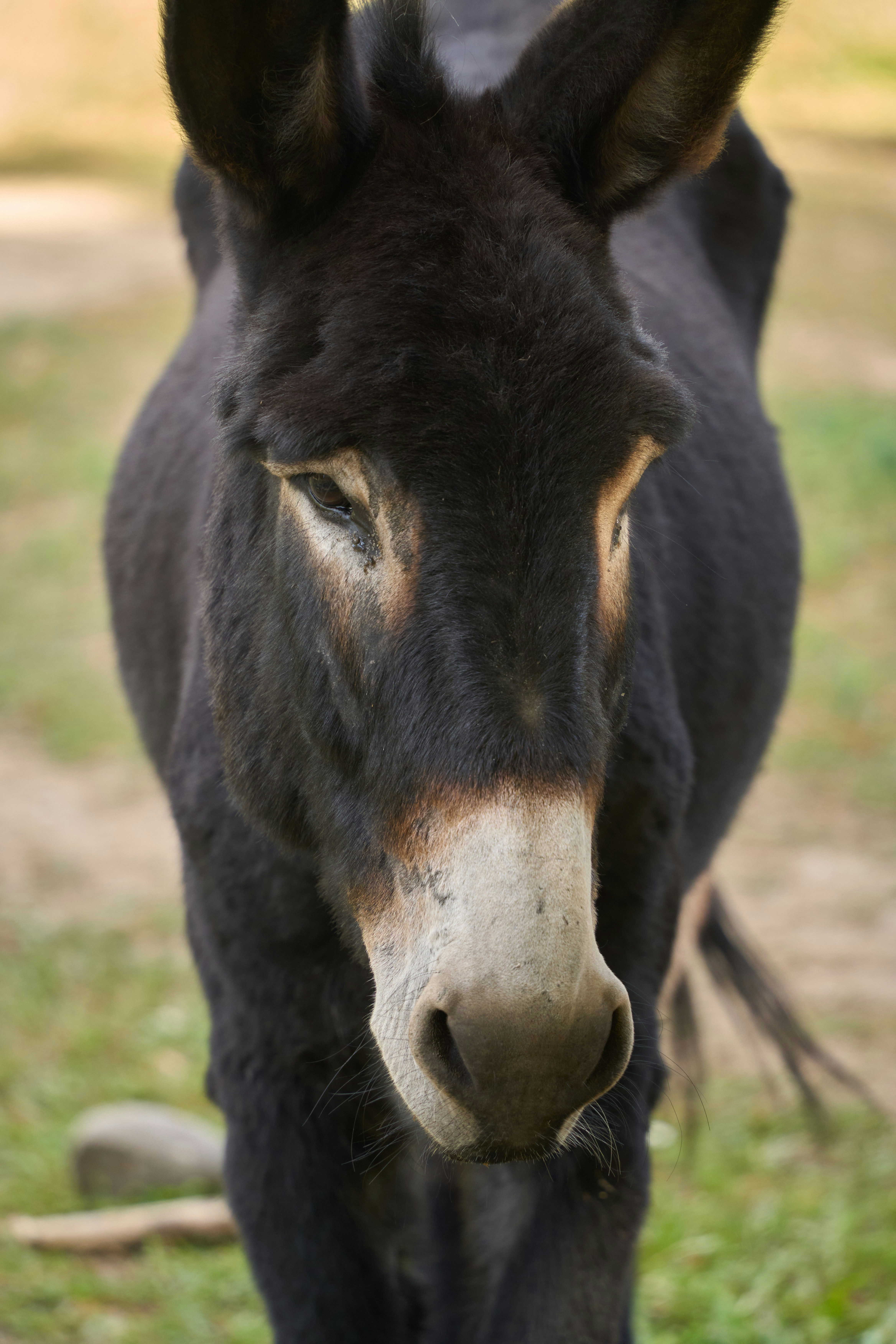 Photo by wolfgang_hasselmann