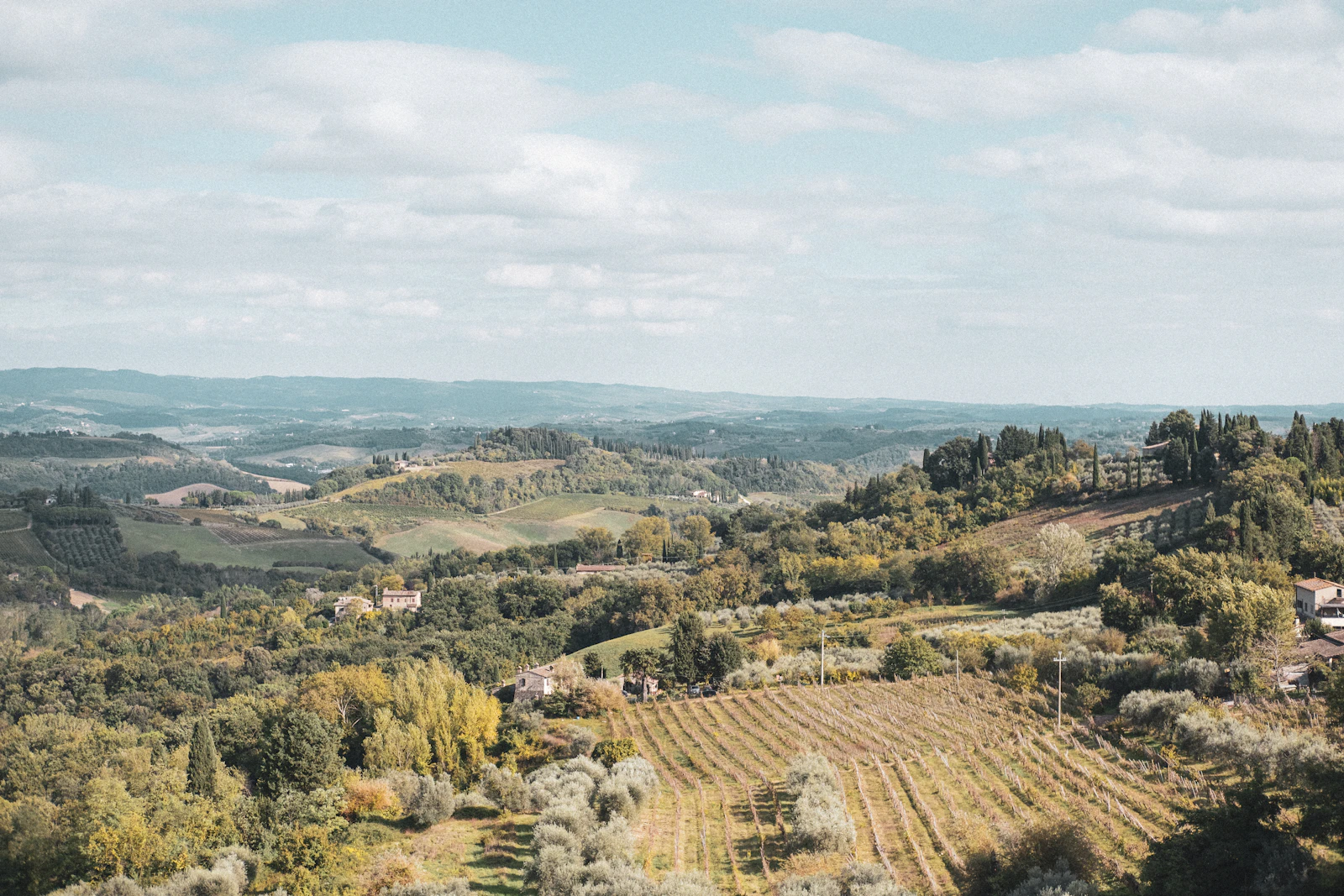 Piedmont vineyard landscape