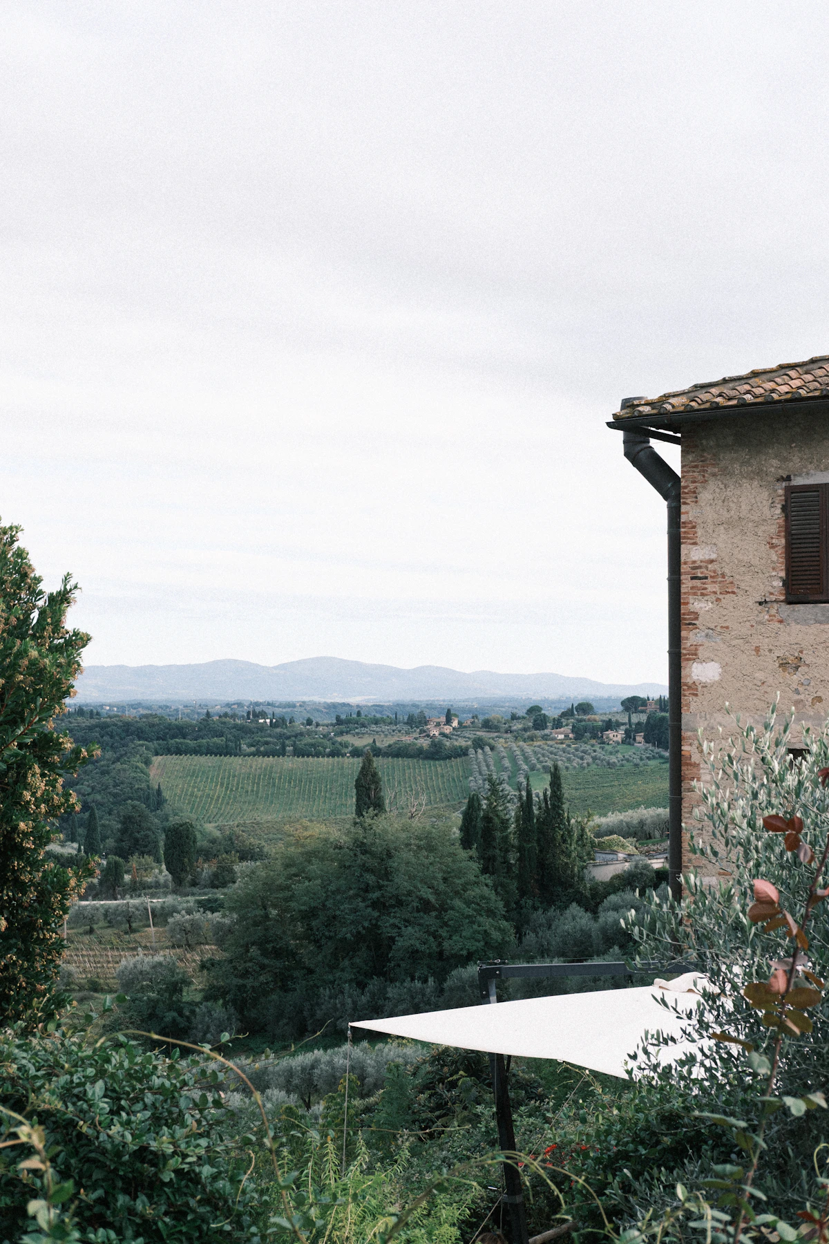 Tuscan landscape with rolling hills and vineyards