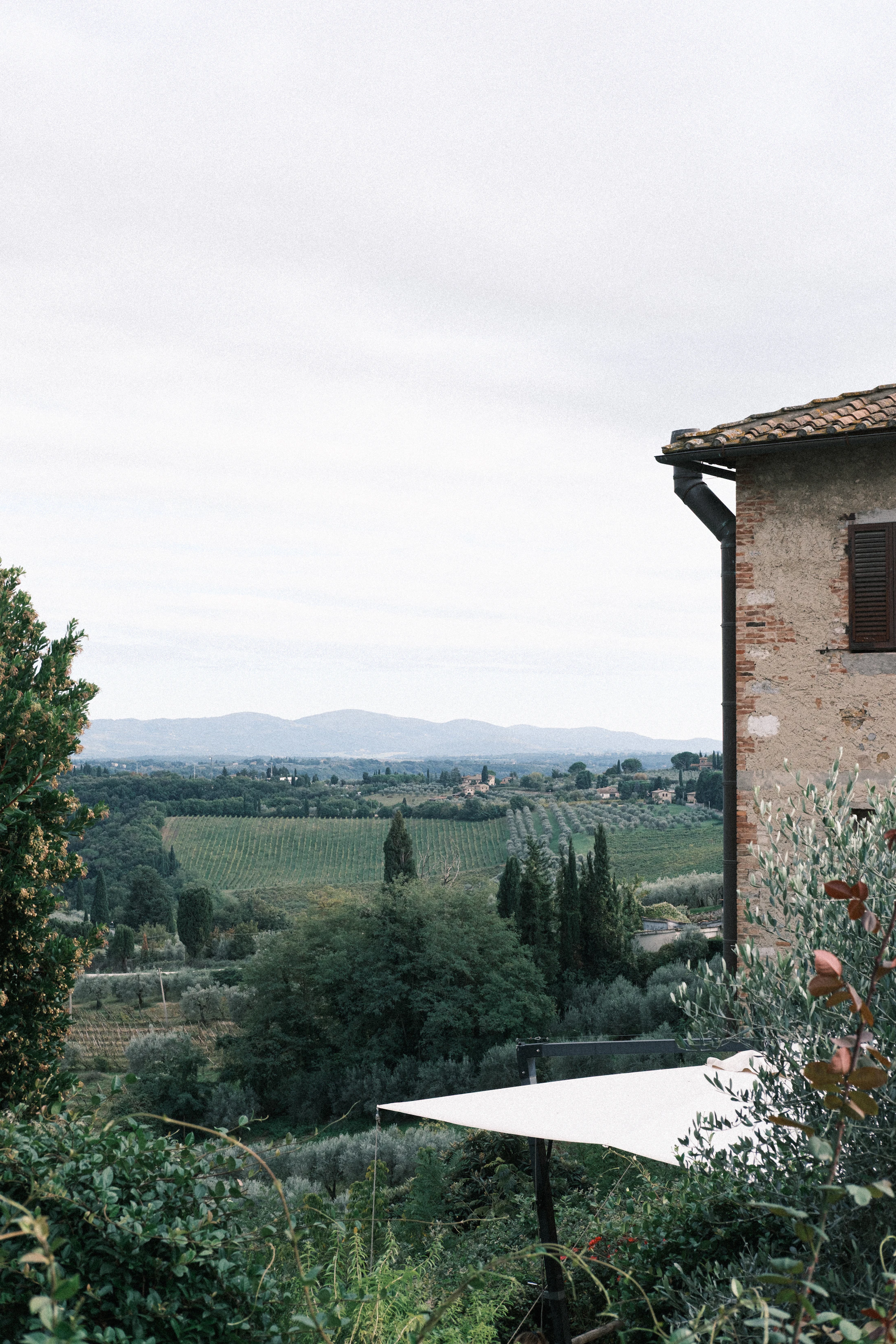 A taste of Italy.