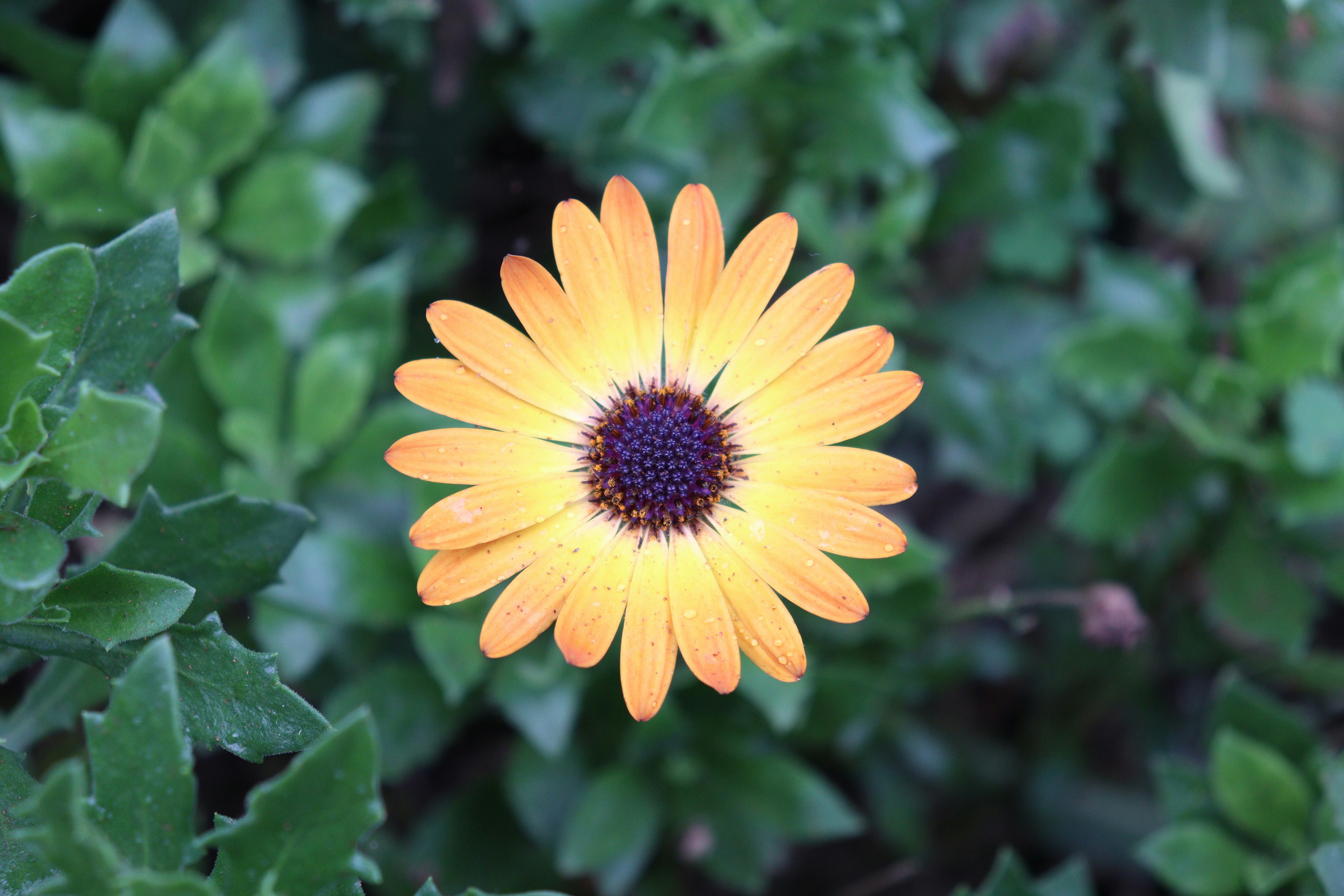 Photo by stratiev_1974