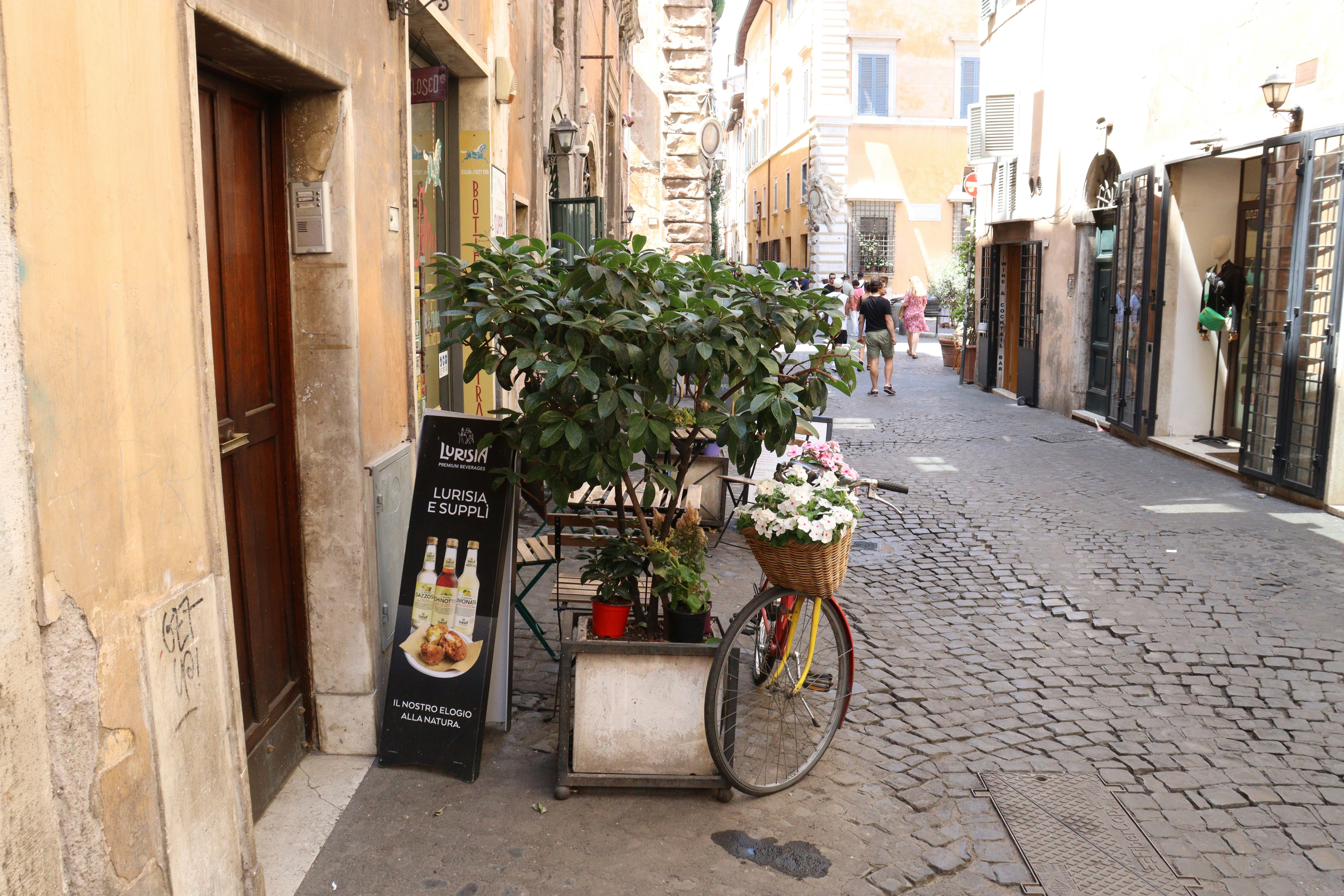 Cobblestone street with a bicycle and potted plants.
