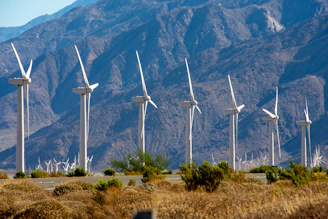 Wind turbines stand in a field with mountains behind.