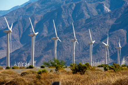 Wind turbines stand in a field with mountains behind.