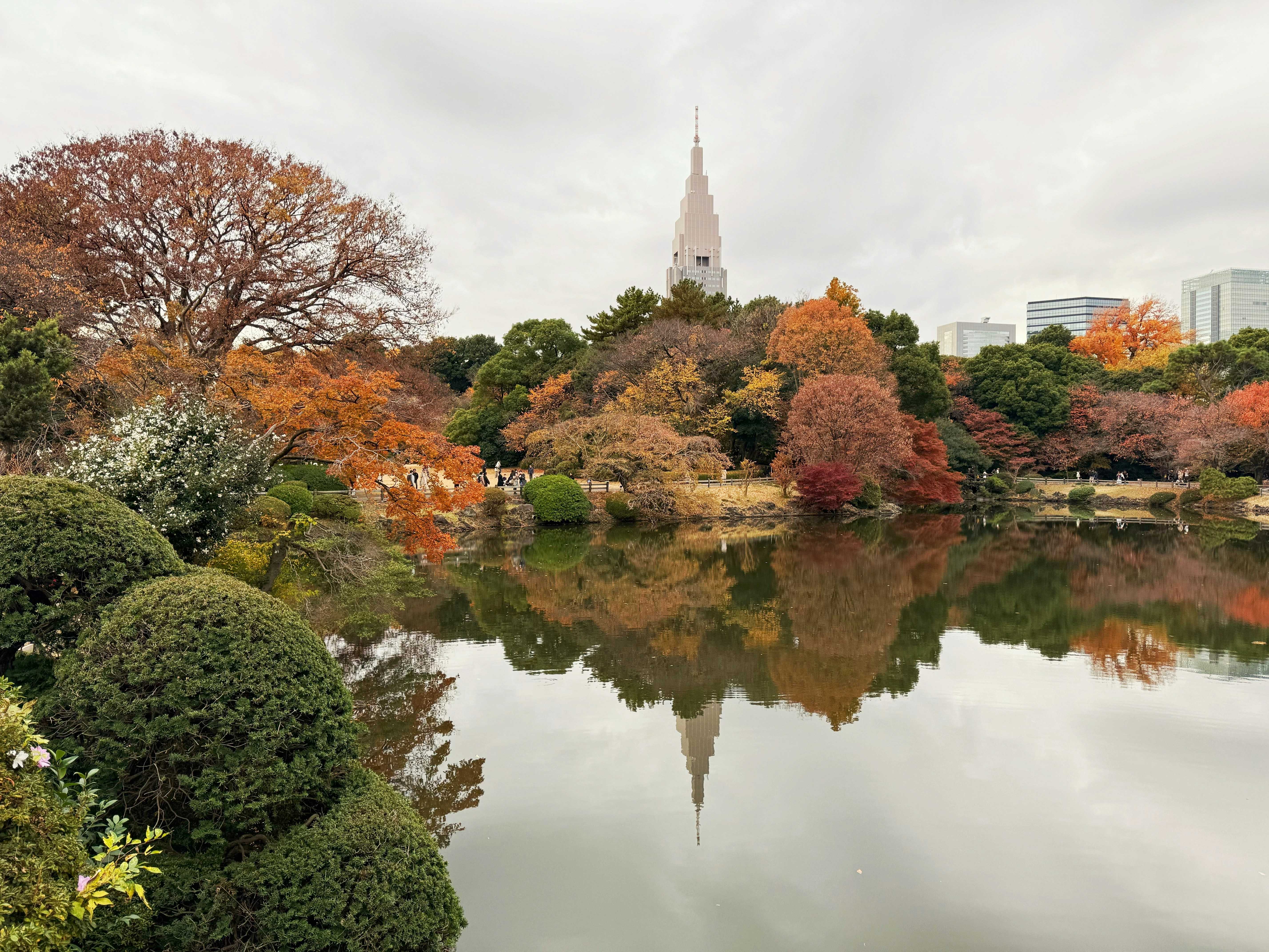 Family travel Tokyo: Morning Adventure in Shinjuku Gyoen National Garden