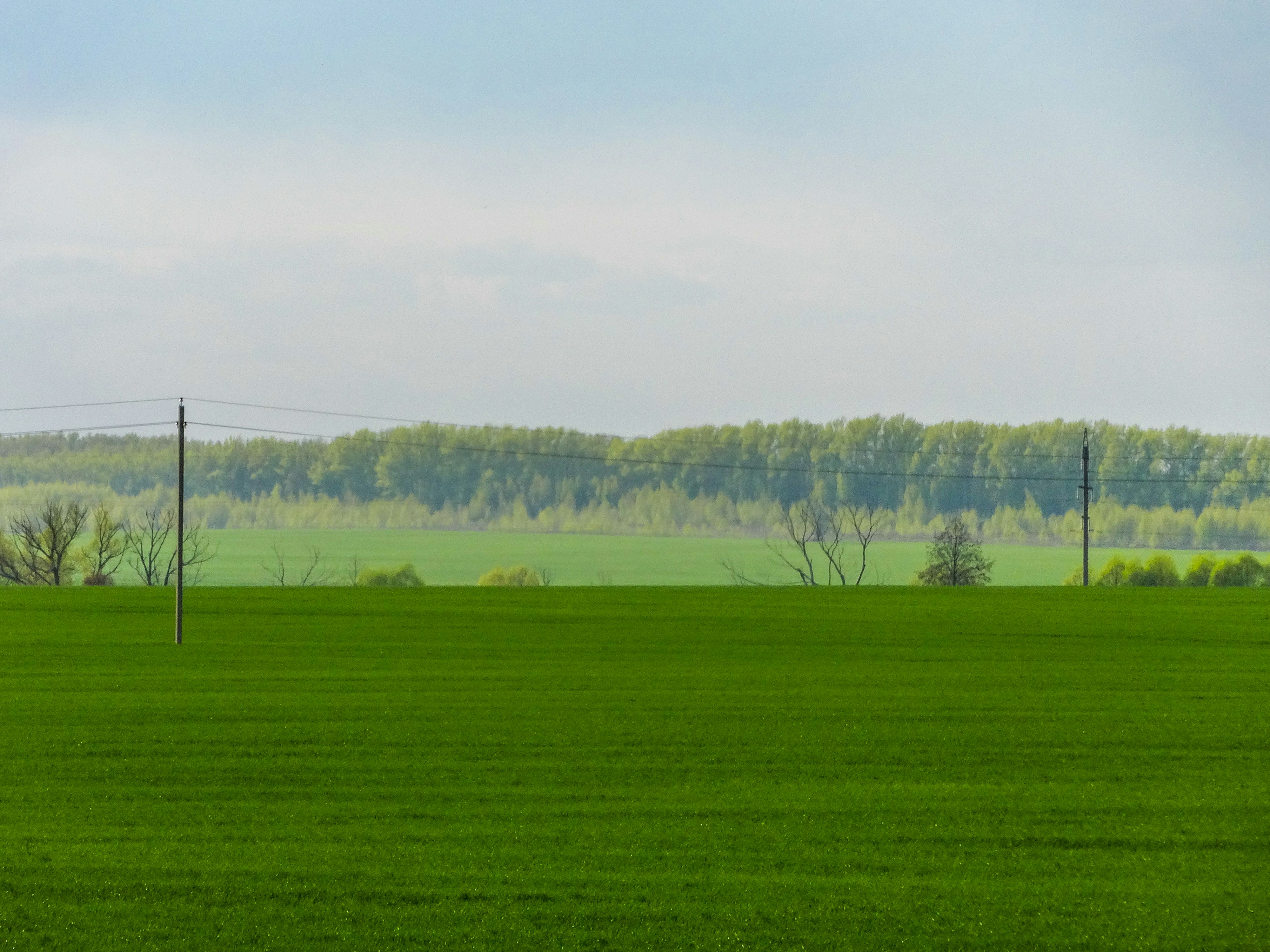 Photo by nikolaikolosov