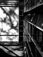 Bookshelves by a sunlit window with tree shadows.