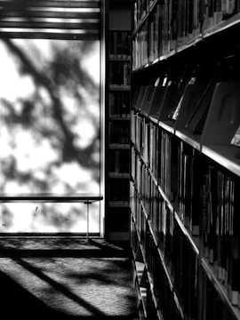 Bookshelves by a sunlit window with tree shadows.