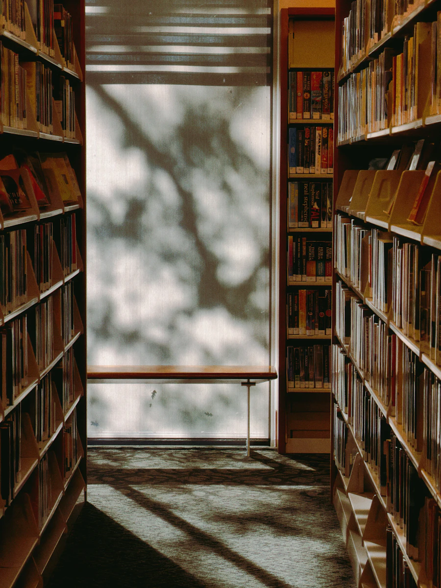 A sunlit library aisle
