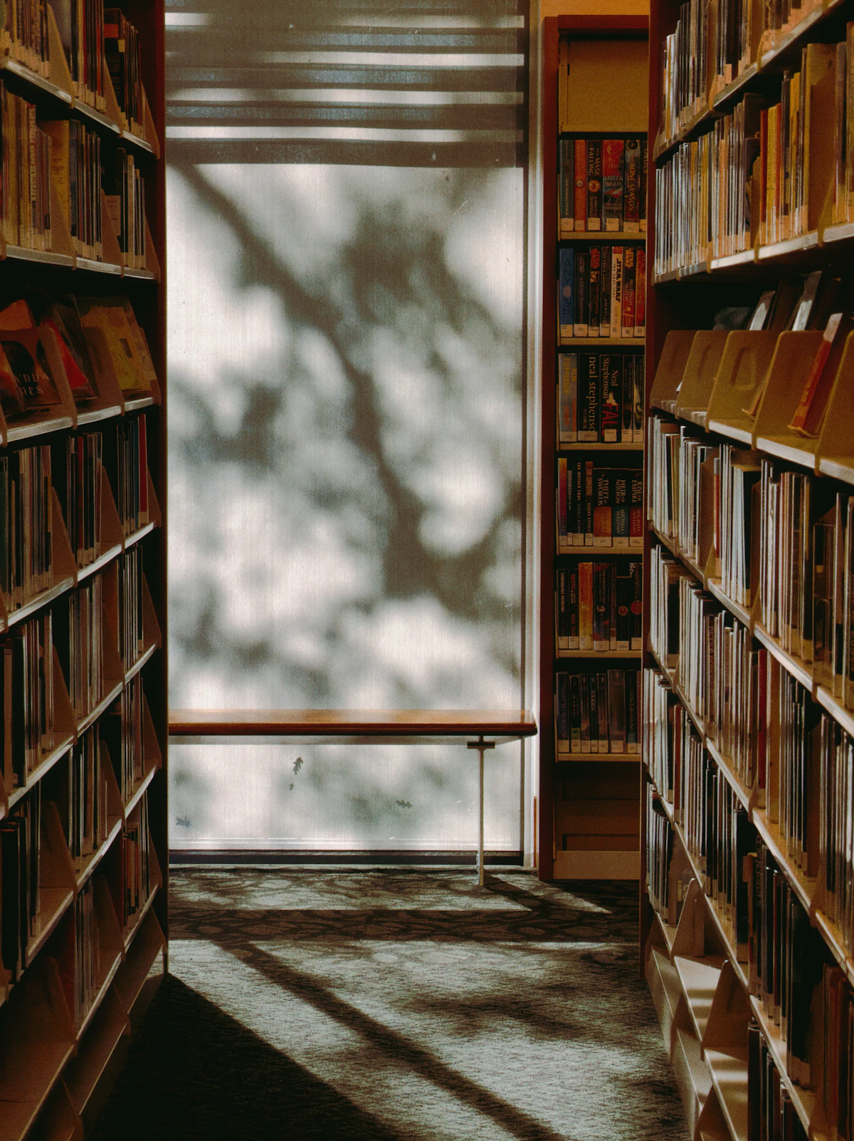 A library aisle with bookshelves and sunlight pouring through a tall window.