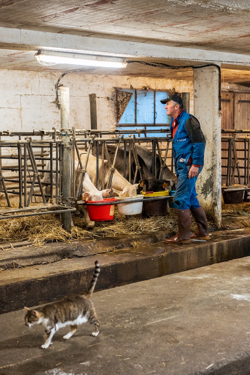 Technicien / Technicienne de production animale
