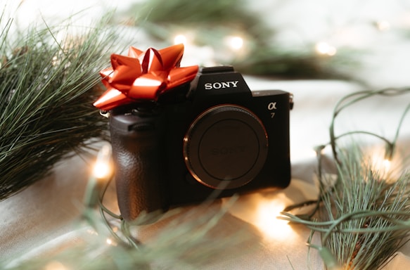 A black sony camera with a red bow.