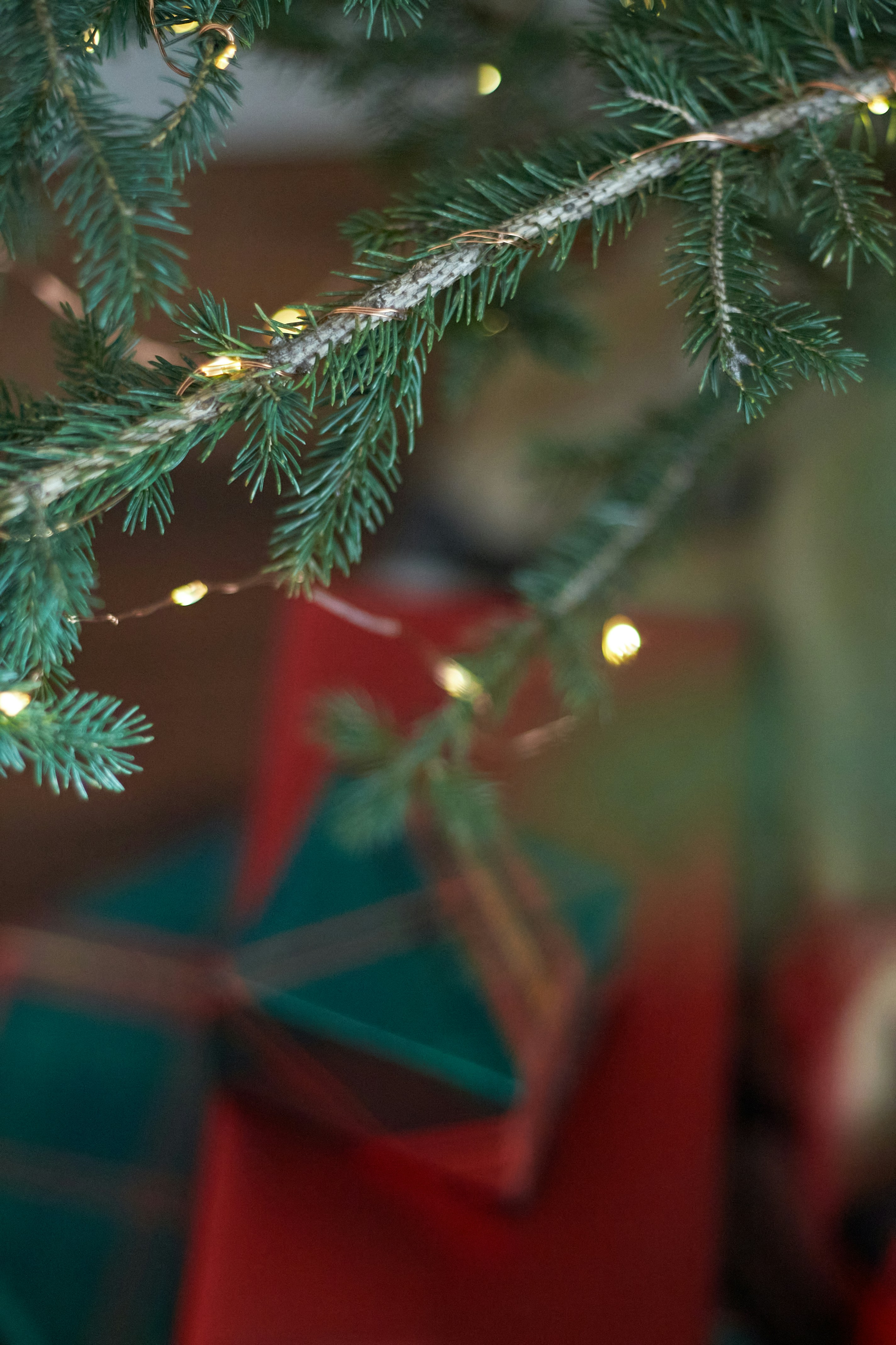 Close-up of a decorated christmas tree with gifts.