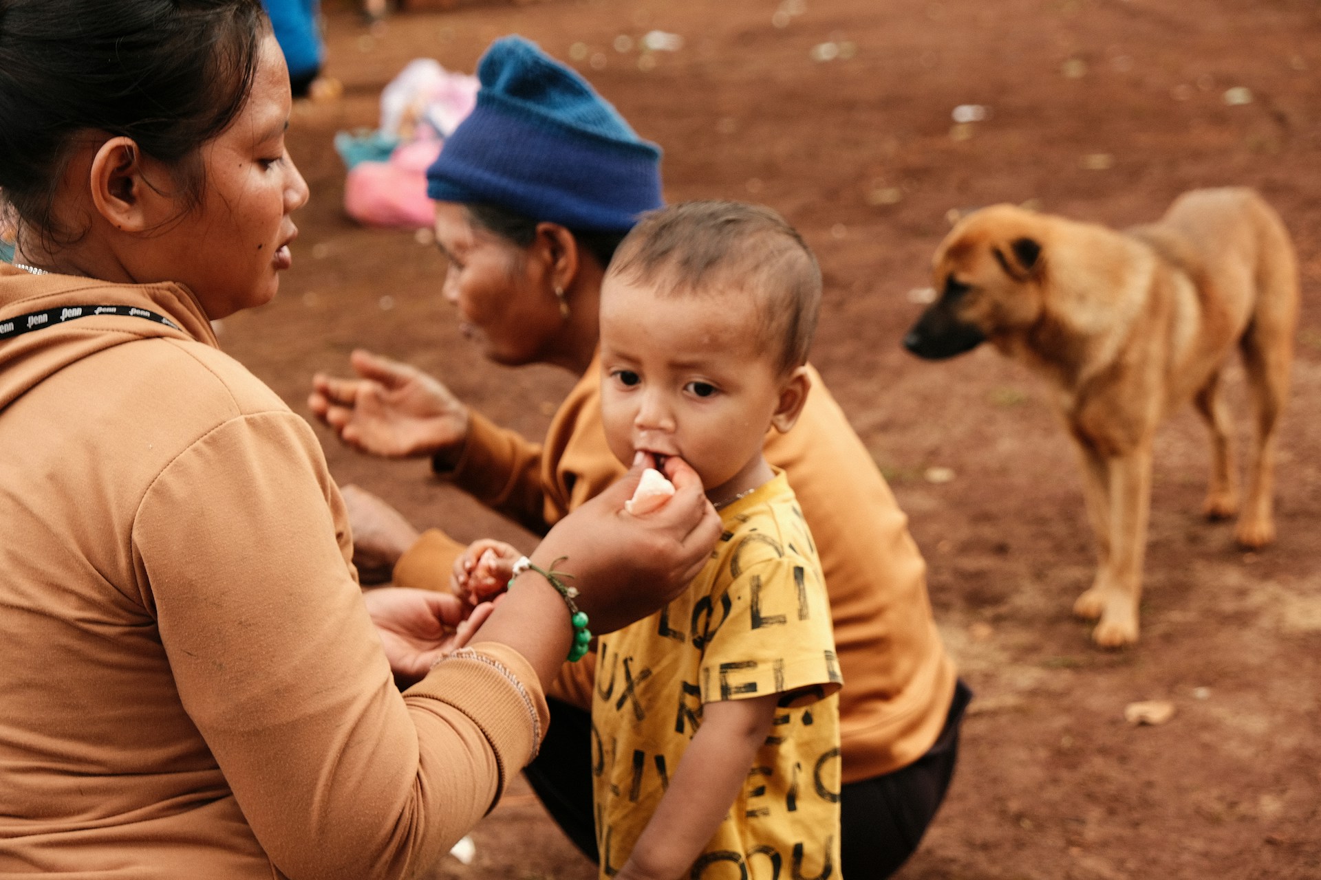 Woman feeding young child with a dog nearby