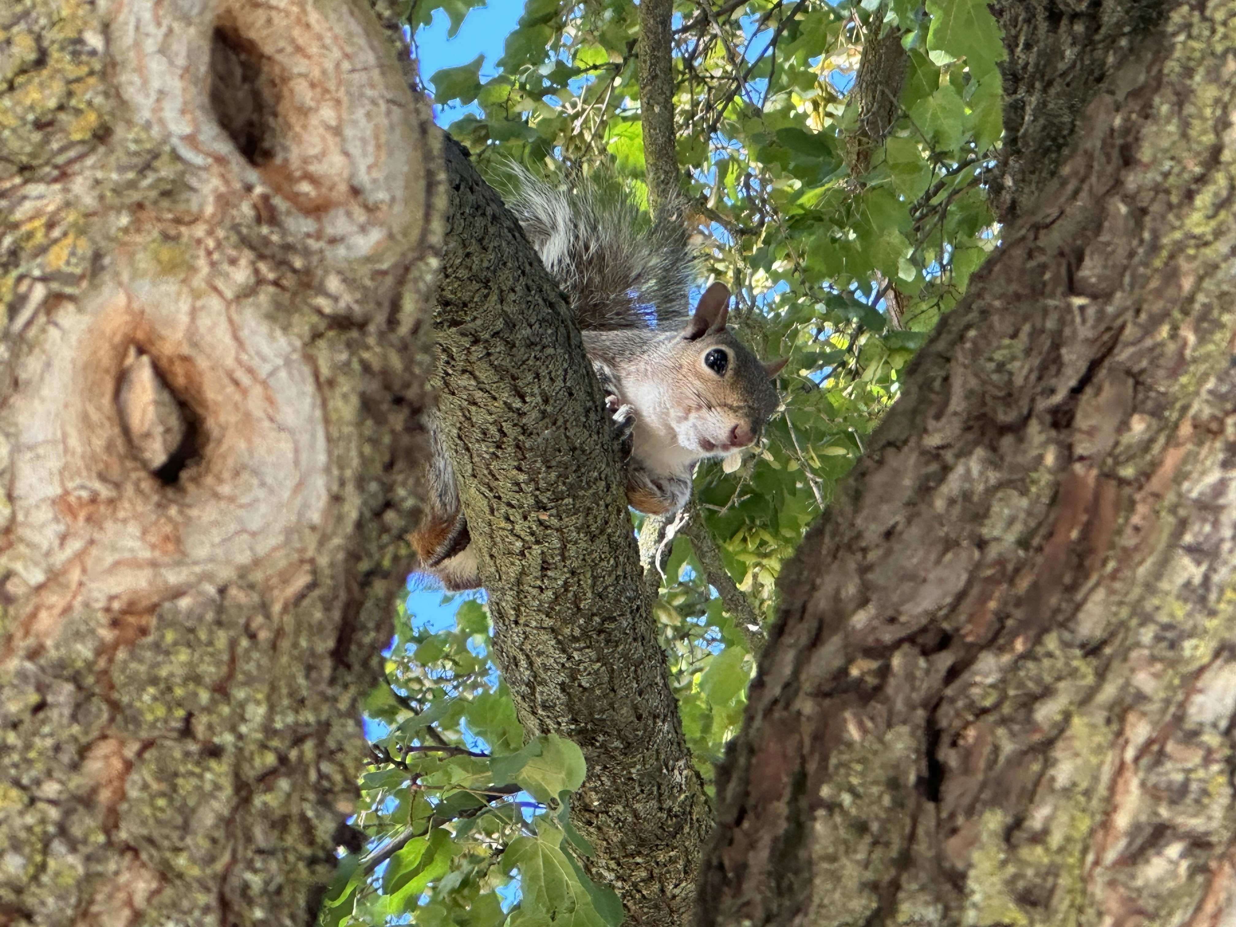 Photo by will_boling