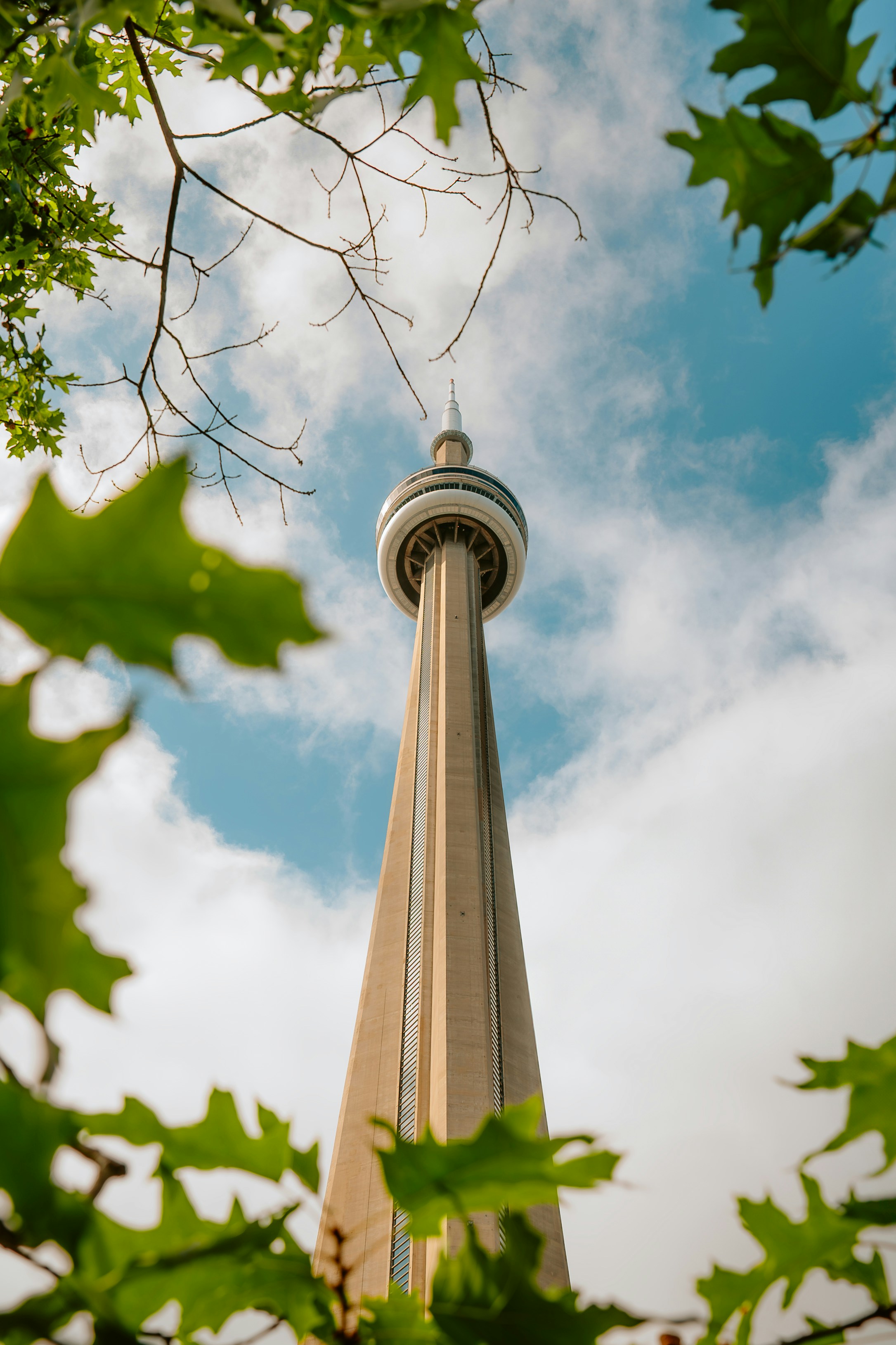 Cn tower viewed through green leaves against sky