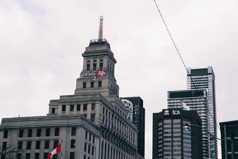 How White-Label Insurance Portals Are Transforming Carrier Relationships