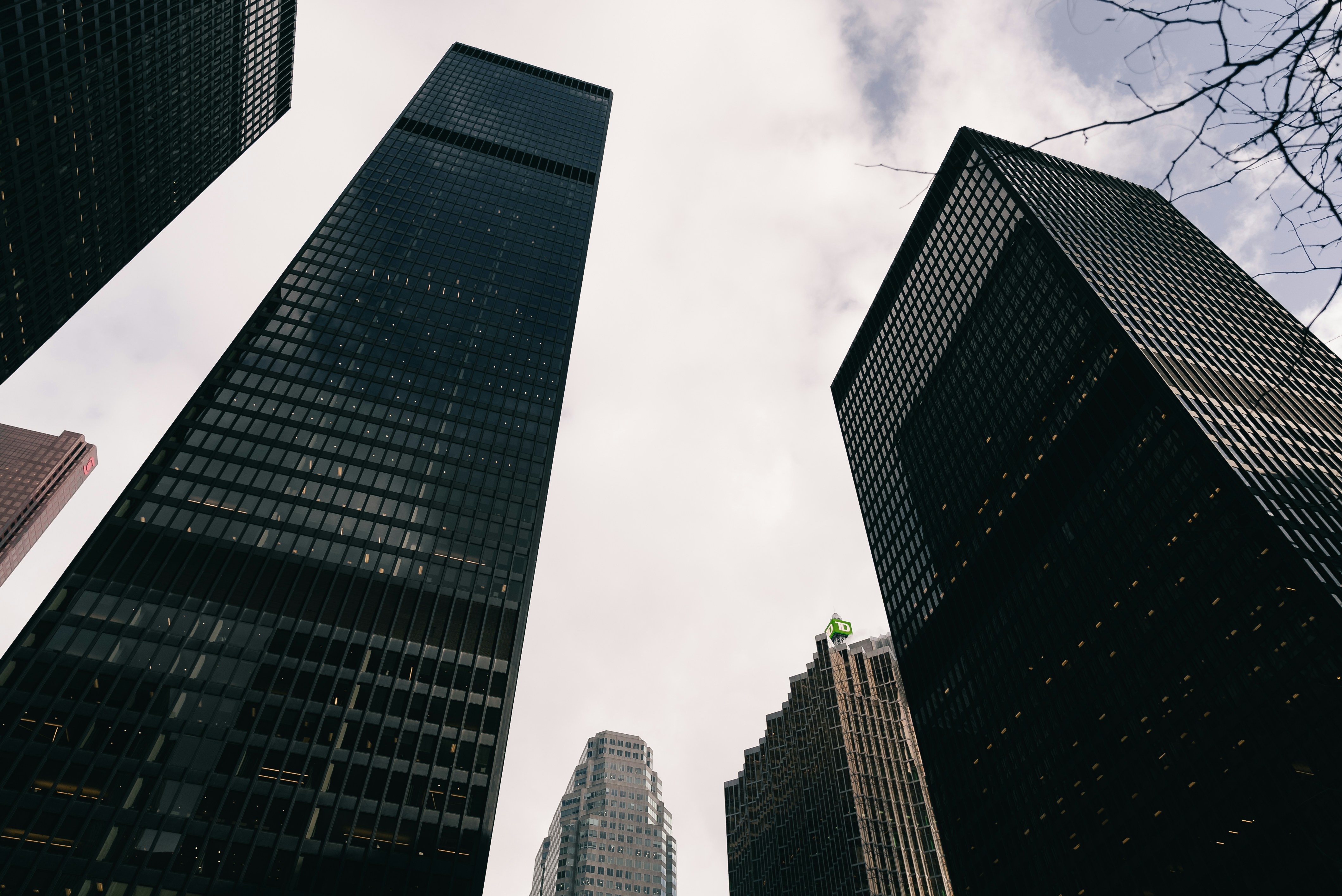 Photo by introspectivedsgn