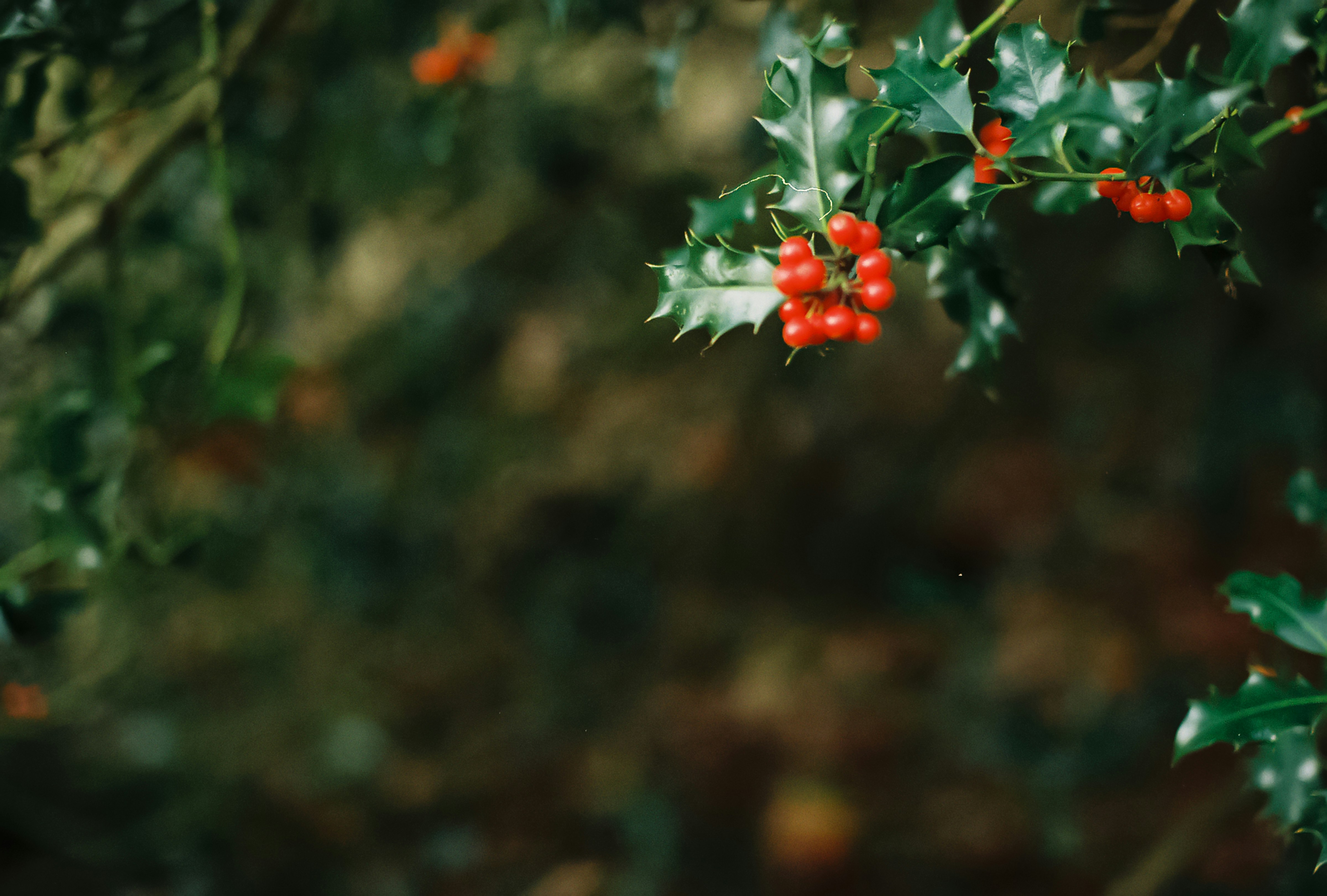 Photo by tanyabarrow