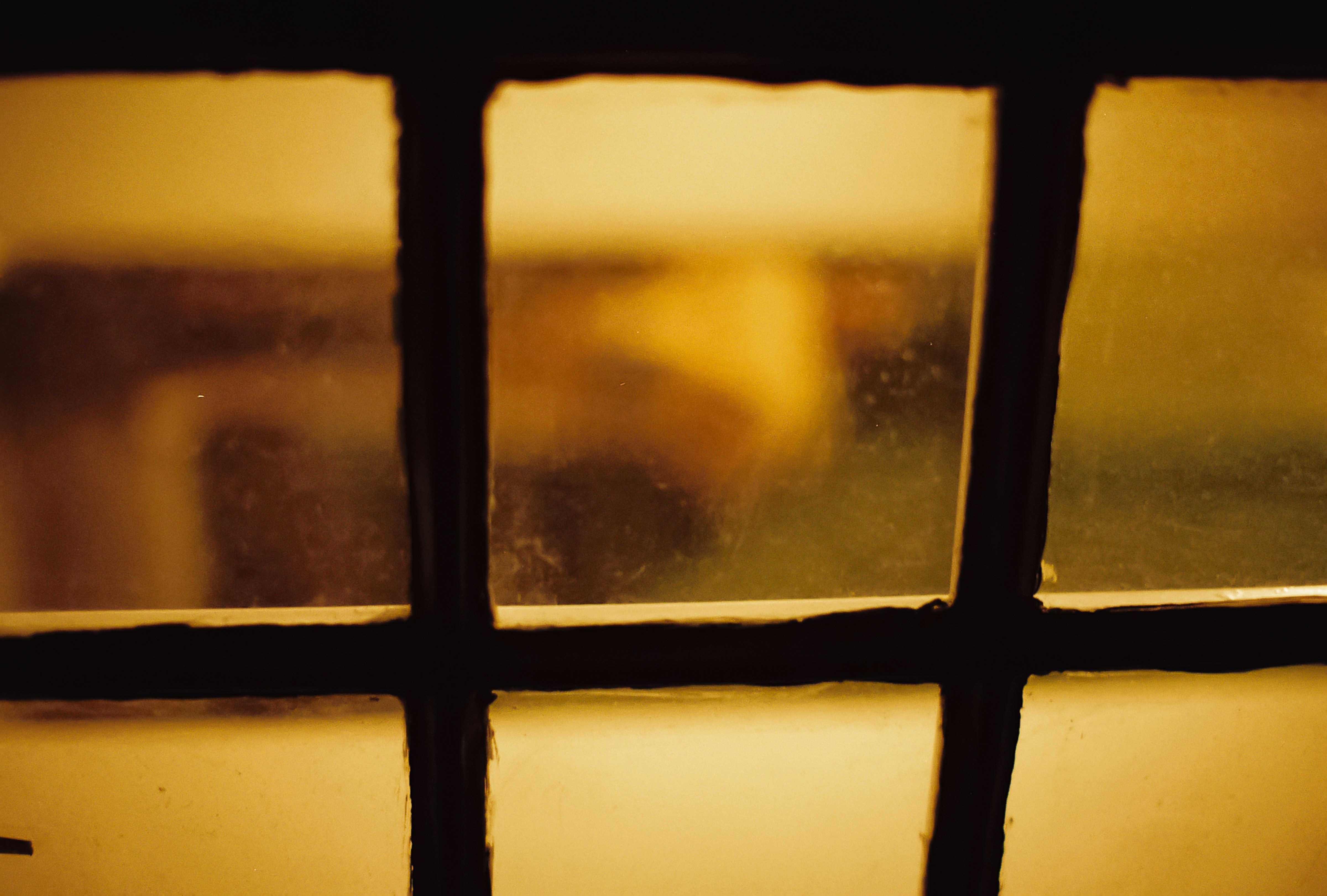 Photo by tanyabarrow