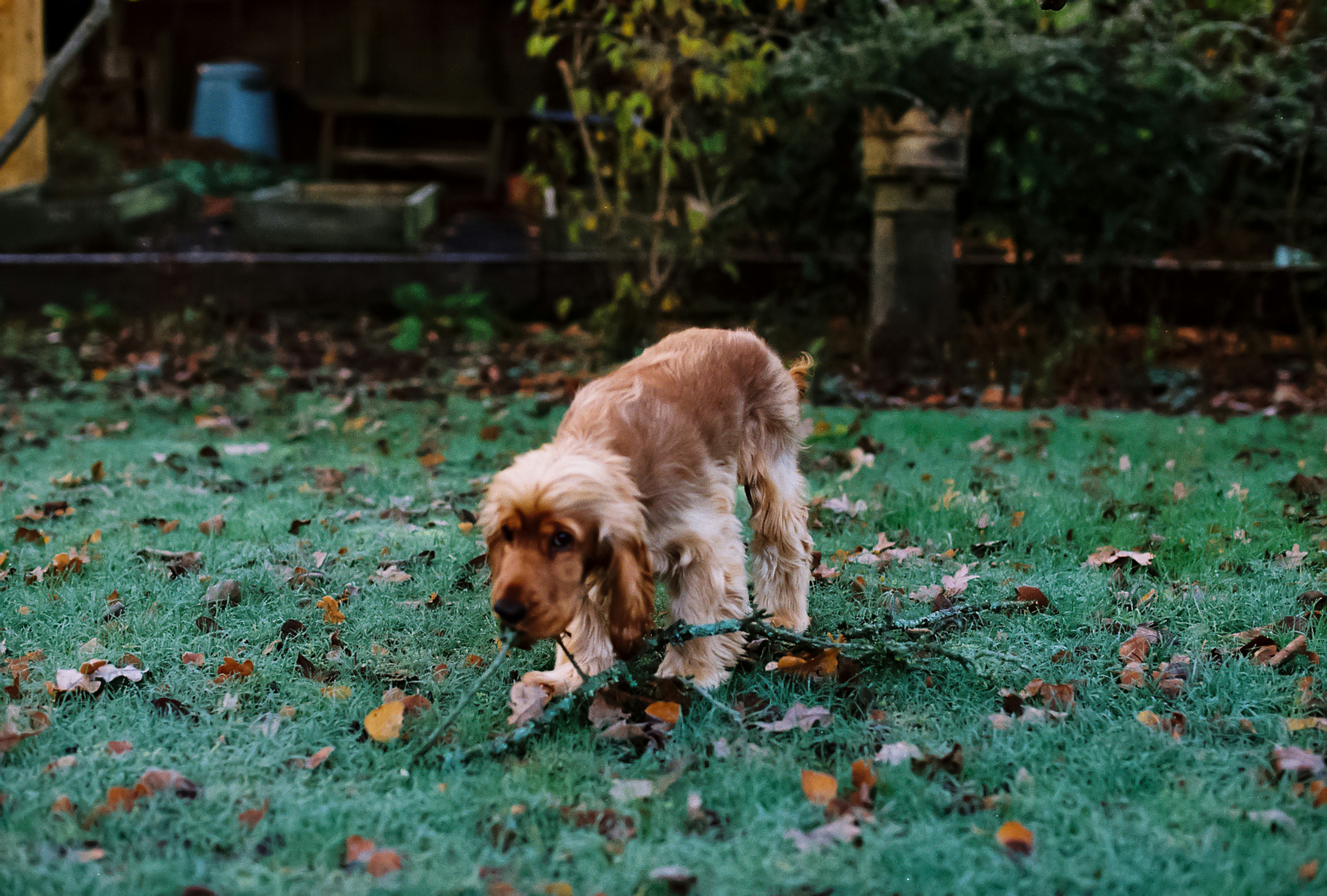 Photo by tanyabarrow