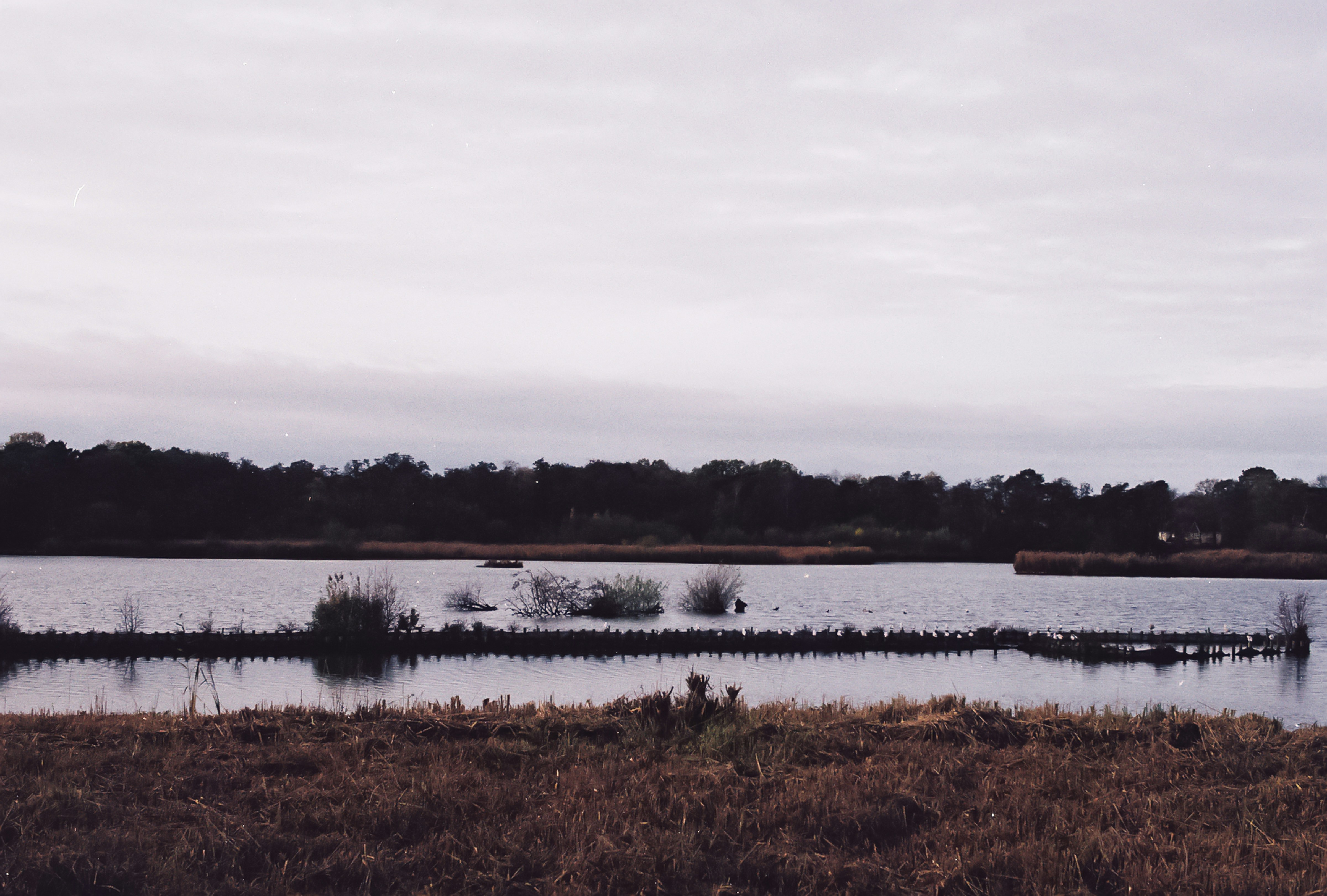 Photo by tanyabarrow