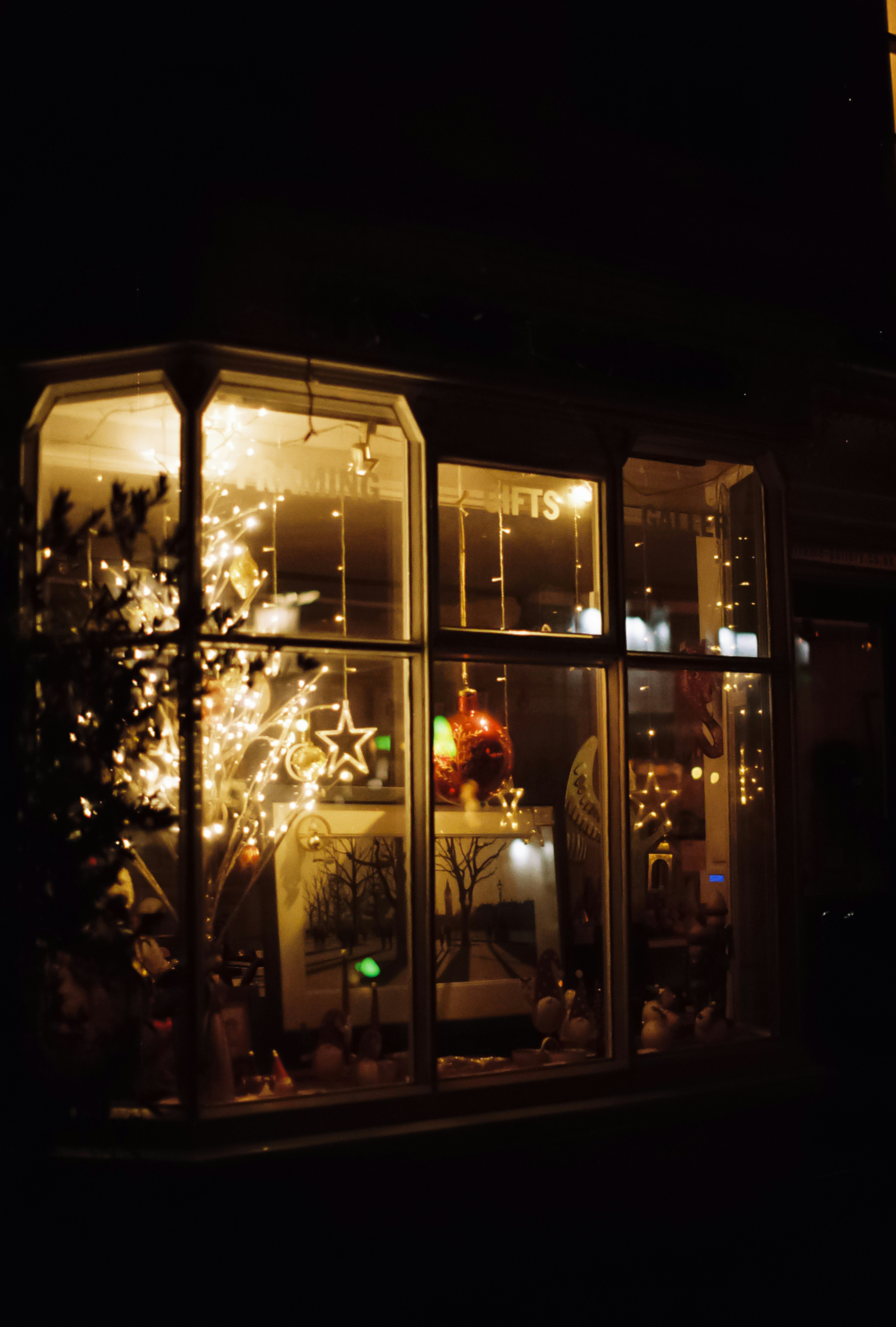 Christmas lights illuminate a shop window at night.