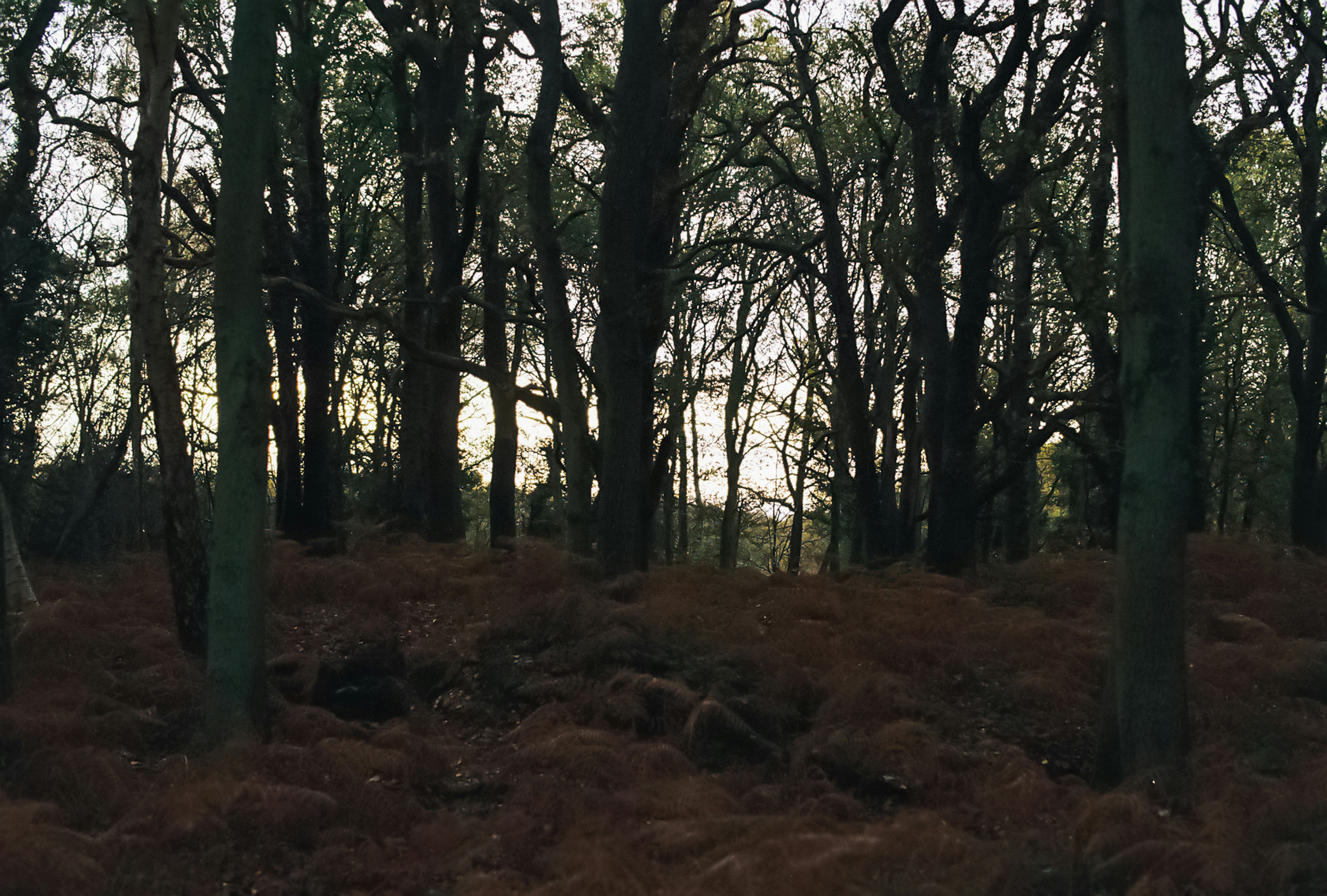 Photo by tanyabarrow